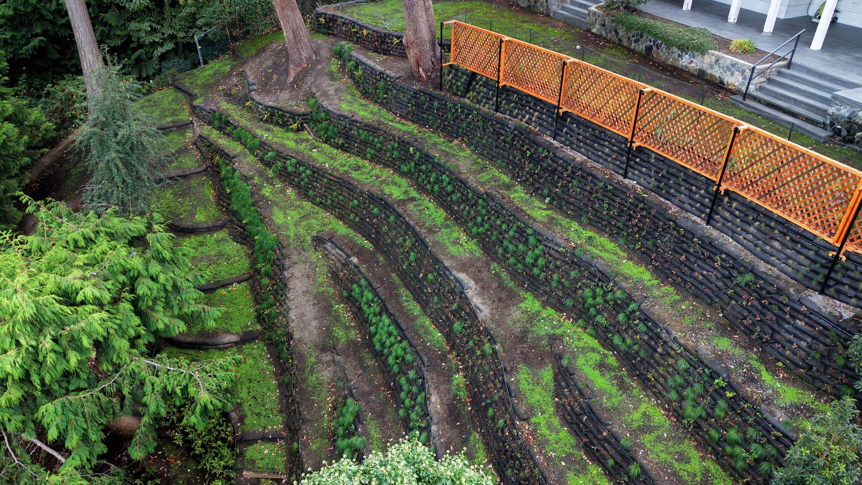 Georgia Park Terrace — Living Slope Transformation by Habanero Landscape Solutions
