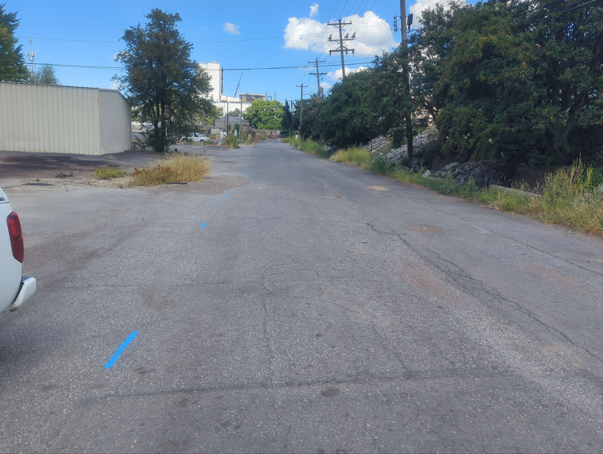 Utility Locate and Utility Mapping for Survey by Alsip Locating Service, LLC