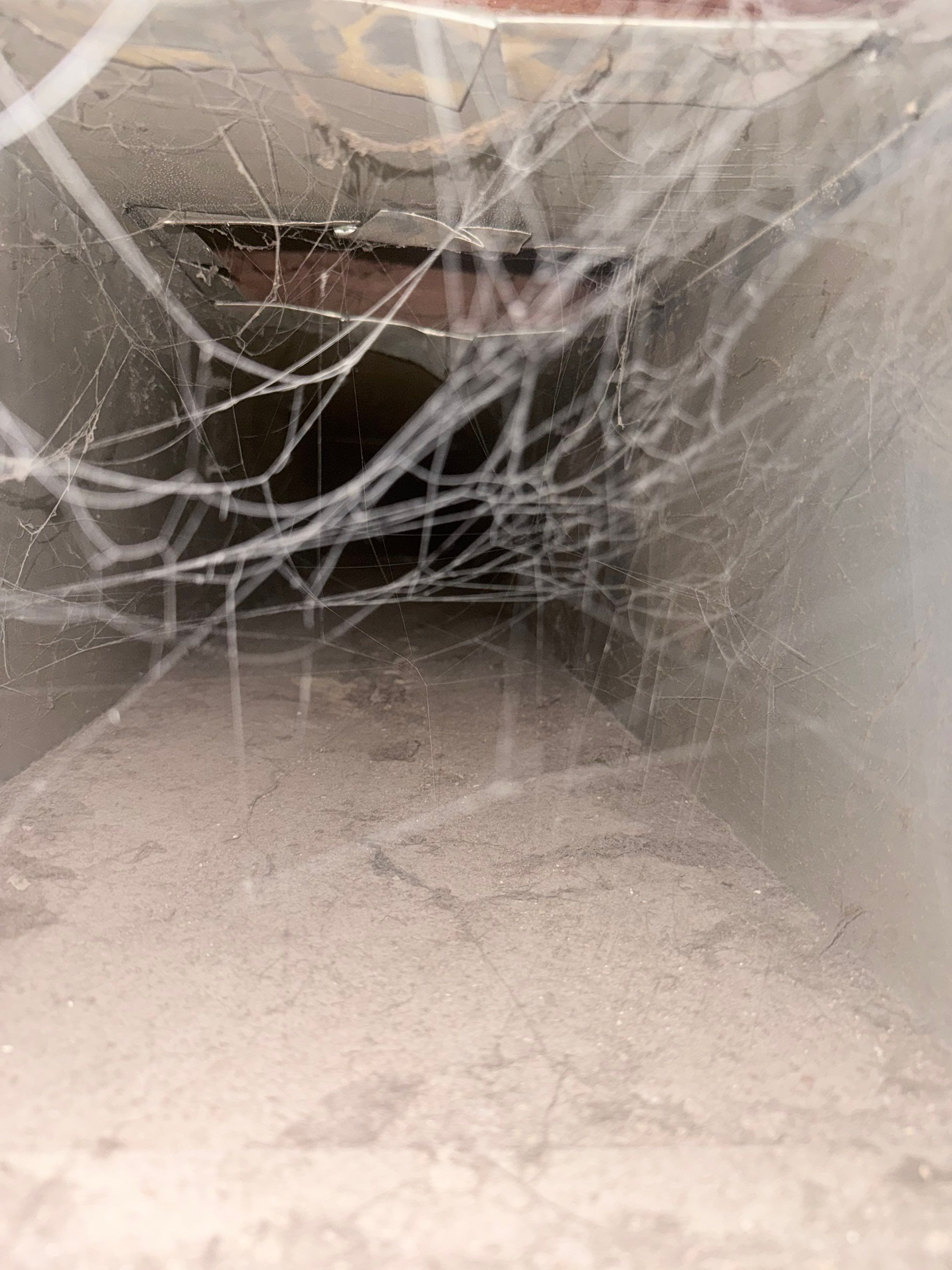 HVAC Duct Cleaning and Debris Extraction by Fox Hill Luxury Real Estate Services