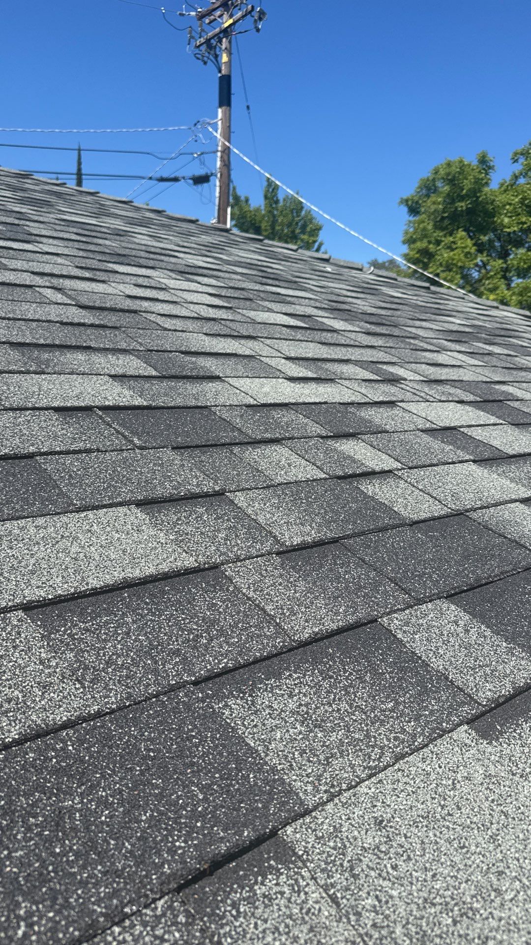 Roof Rejuvenation using Roof Maxx Treatment by Roof Maxx of Folsom