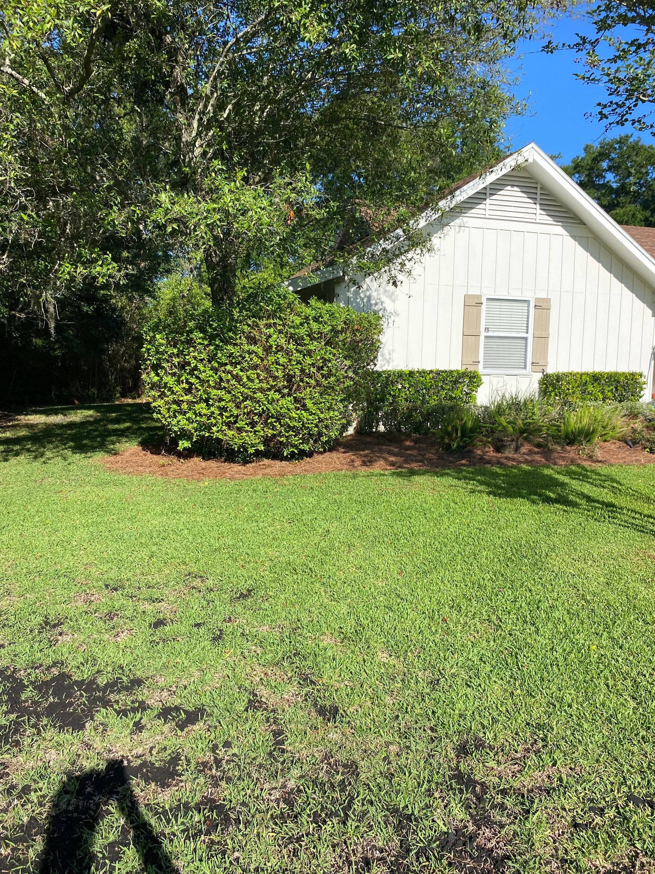 Deerwood Resident | Pine Straw & Topsoil Install by ProGreen Services