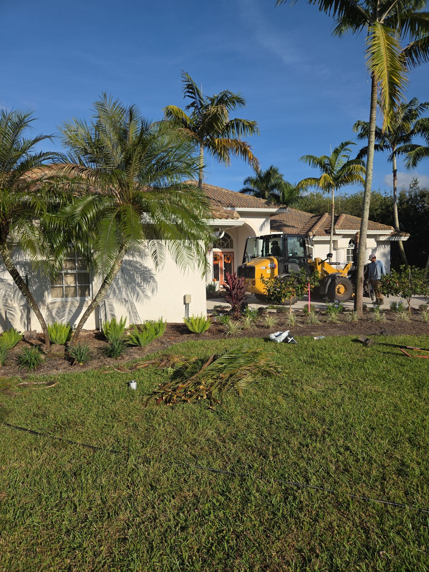 🌴 Landscape Removal and Install in Palm City by Alpha Zeta Enterprises Inc