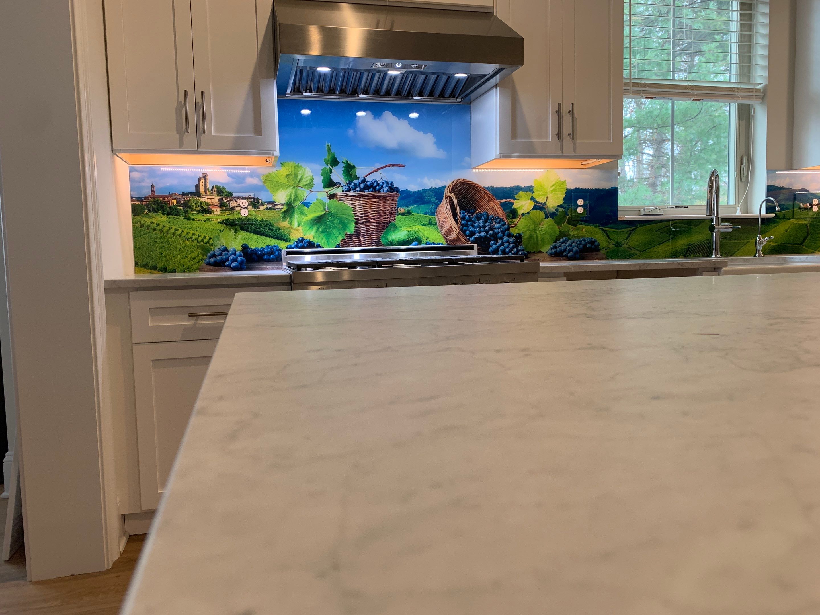 Kitchen Remodel using Italian Vinyard IMAGIO Solid Glass Backsplash by IMAGIO