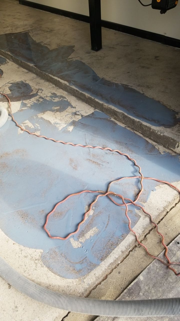 Installers have Feline supervision by Spectrum Painting, LLC