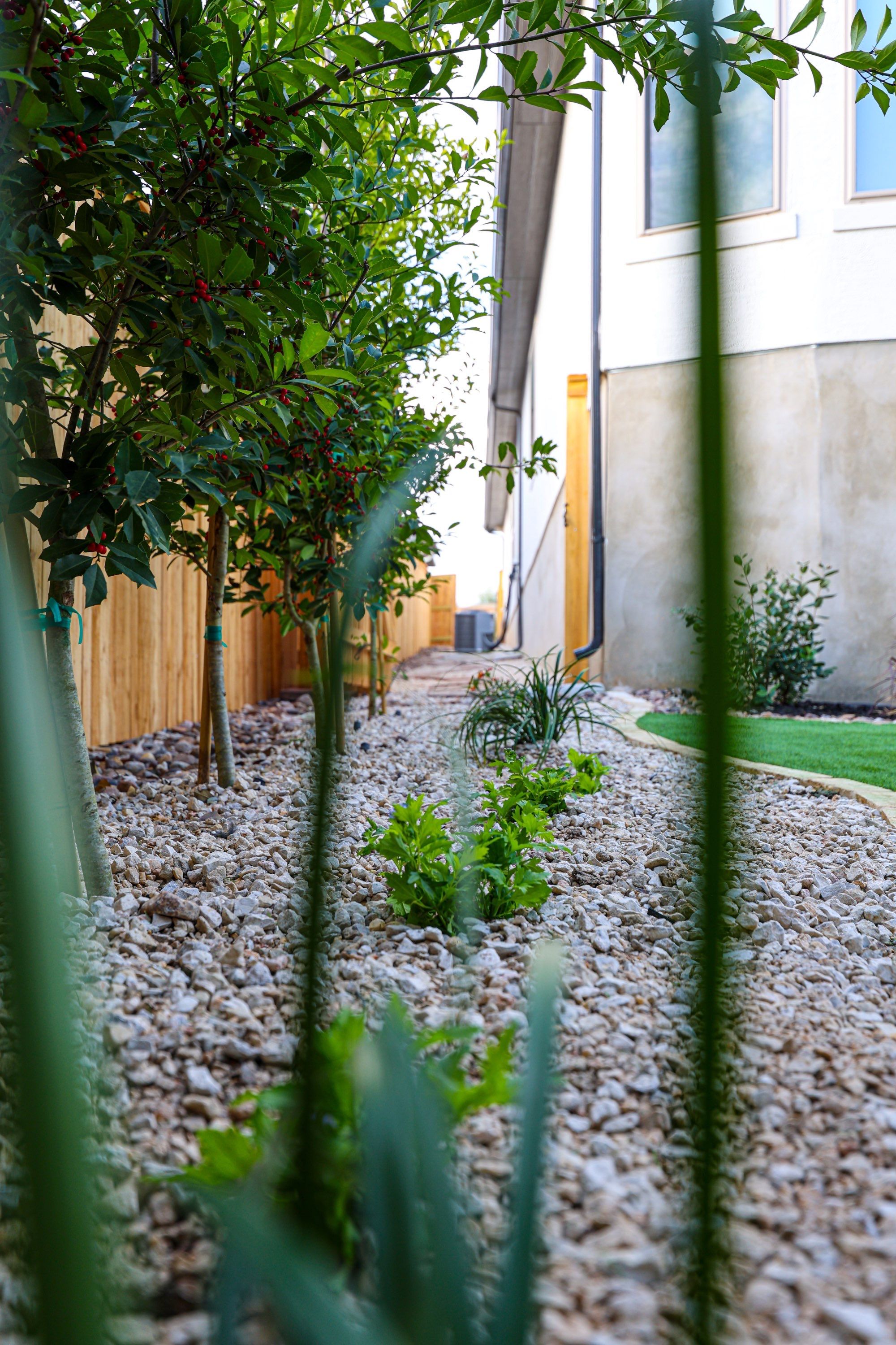 Shavano Highlands, San Antonio Tx. by Hole In One Lawns, LLC