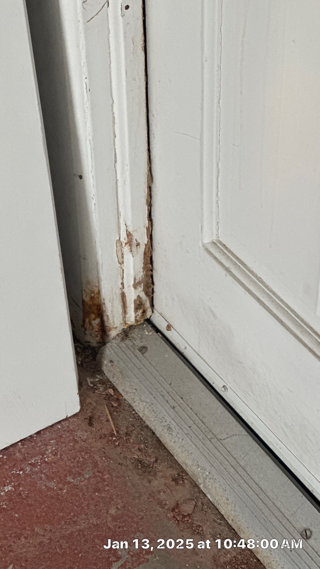 Mold Assessment using IR Camera, Moisture Meter, Air Cassette samples and Tape lifts by Building performance Solutions LLC