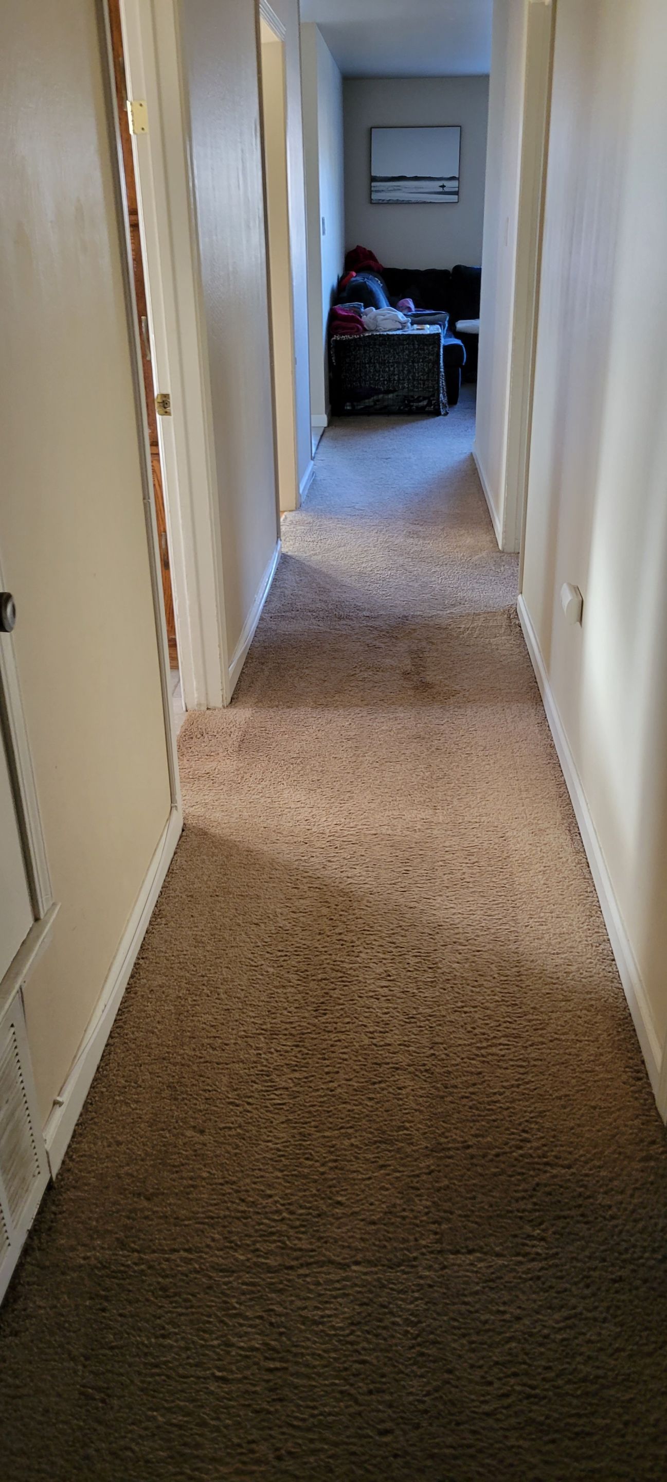 Fixing Carpet Wrinkles in a Hallway by Ardent Carpet Restore LLC