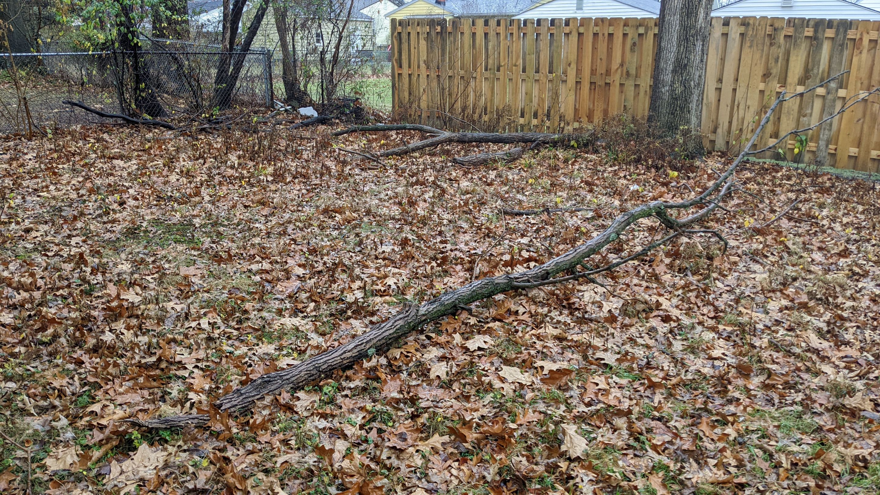 Tree Removal using Tree Removal by Mike Jones & Sons Tree Service LLC 