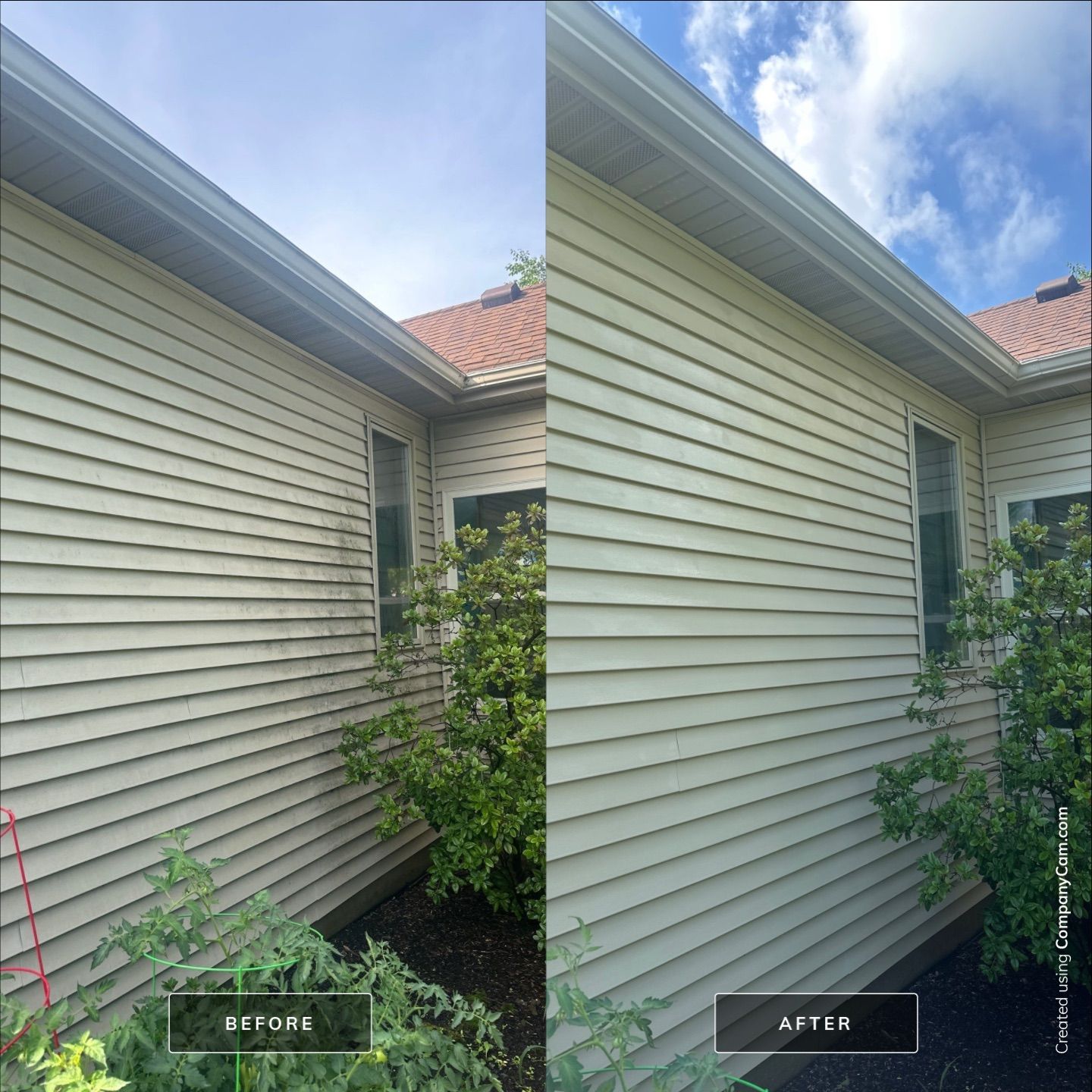 Project in Hampshire by Simmons Power & Soft Washing