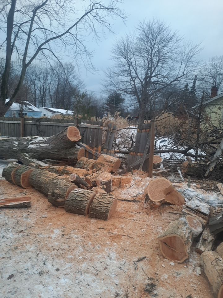 Storm Damaged Tree Removal  using Tree Removal by Mike Jones & Sons Tree Service LLC 