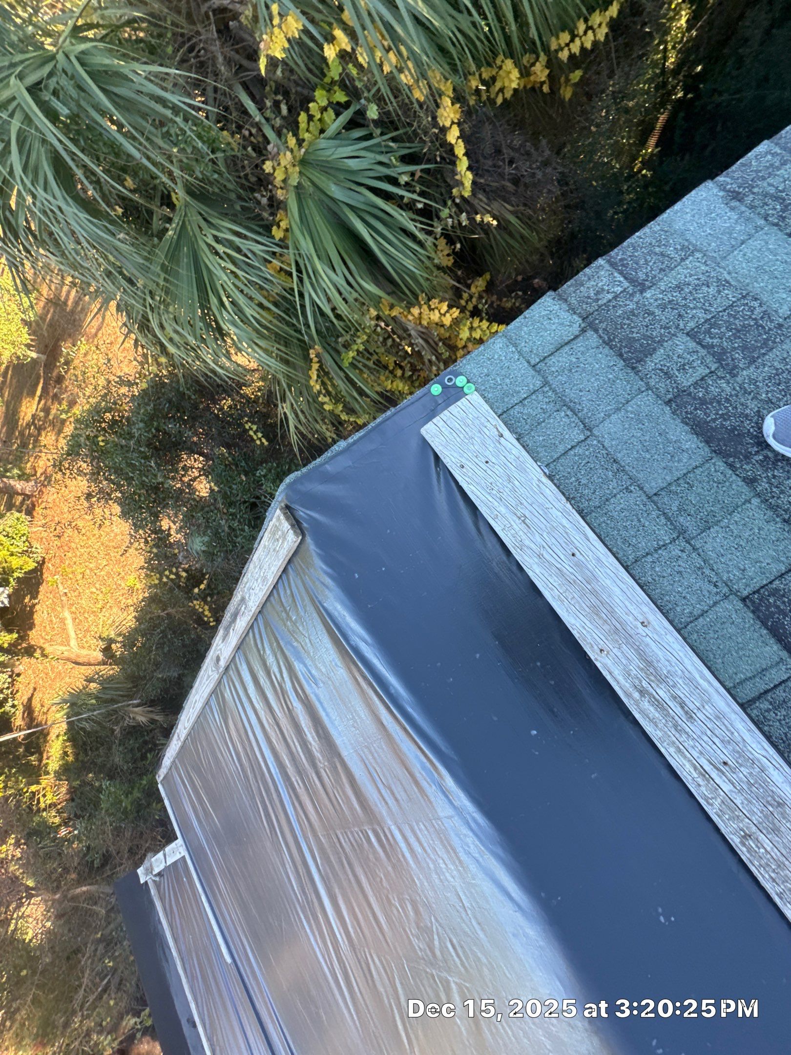 Tybee Island Atlas Pinnacle Pristine Morning Harvest Roof and redecking by Talya Roofing
