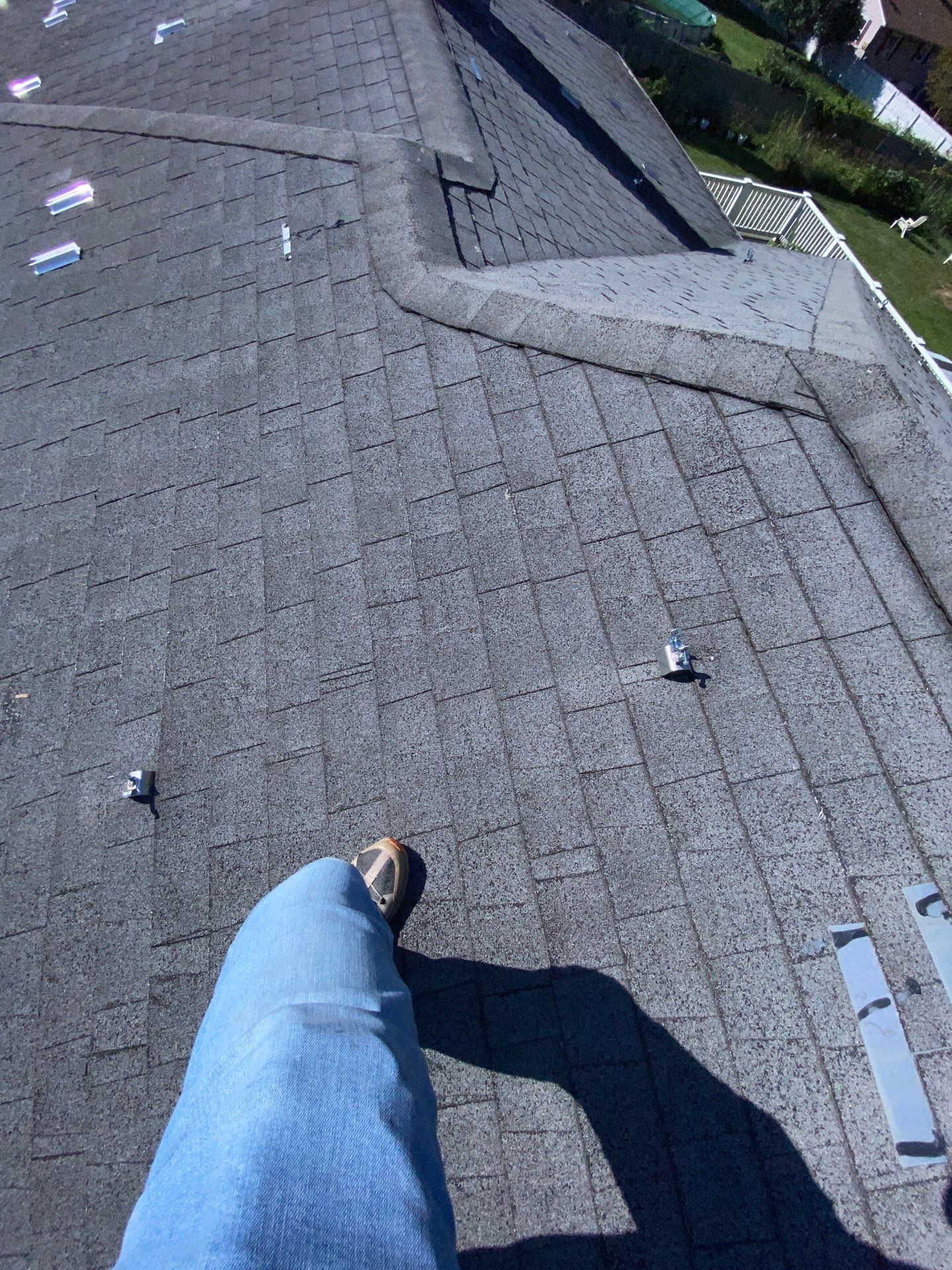 Silver Birch Shingles by Reimagine Roofing