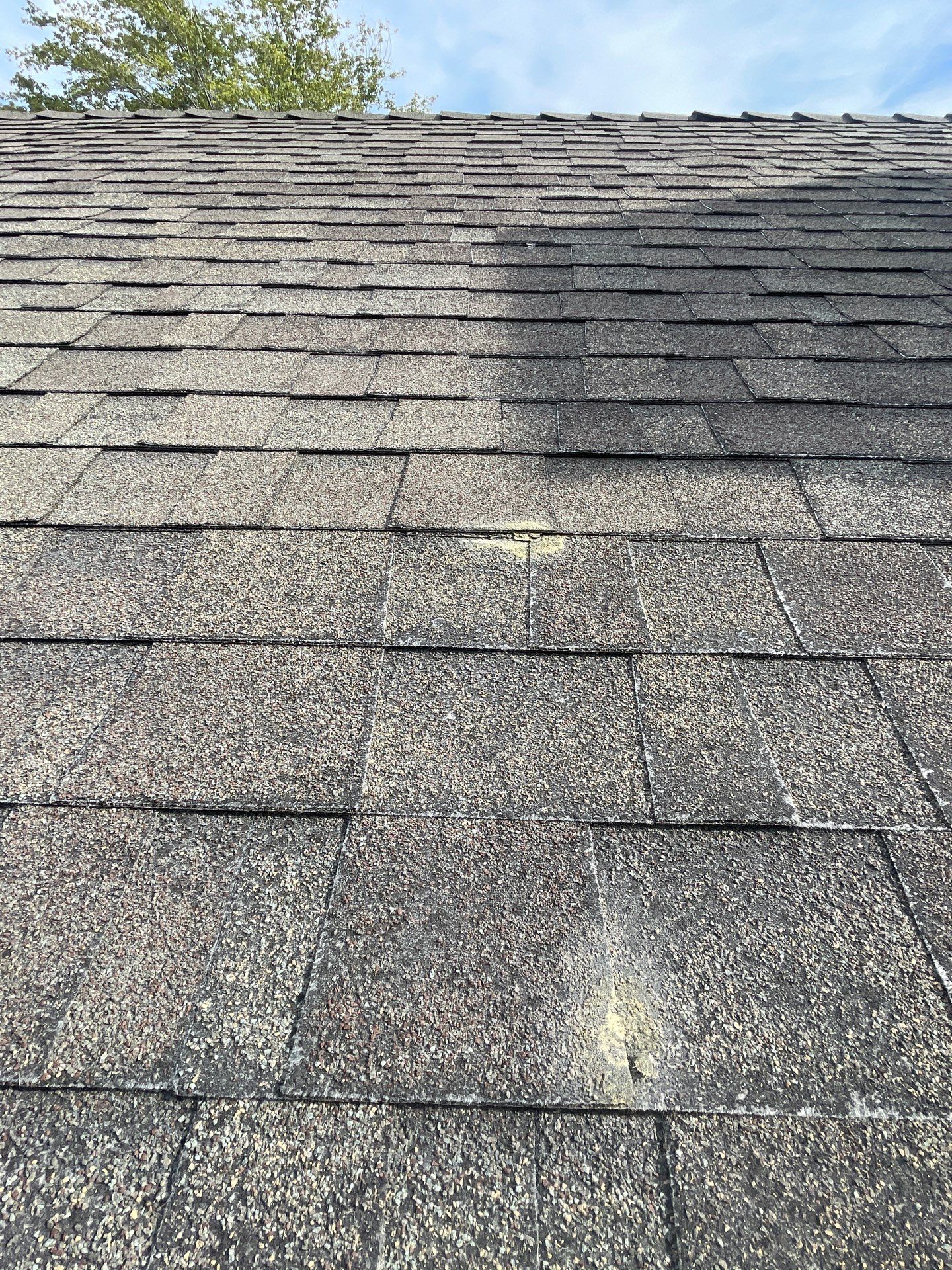 Roof Rejuvenation using Roof Maxx Treatment by Roof Maxx of Folsom