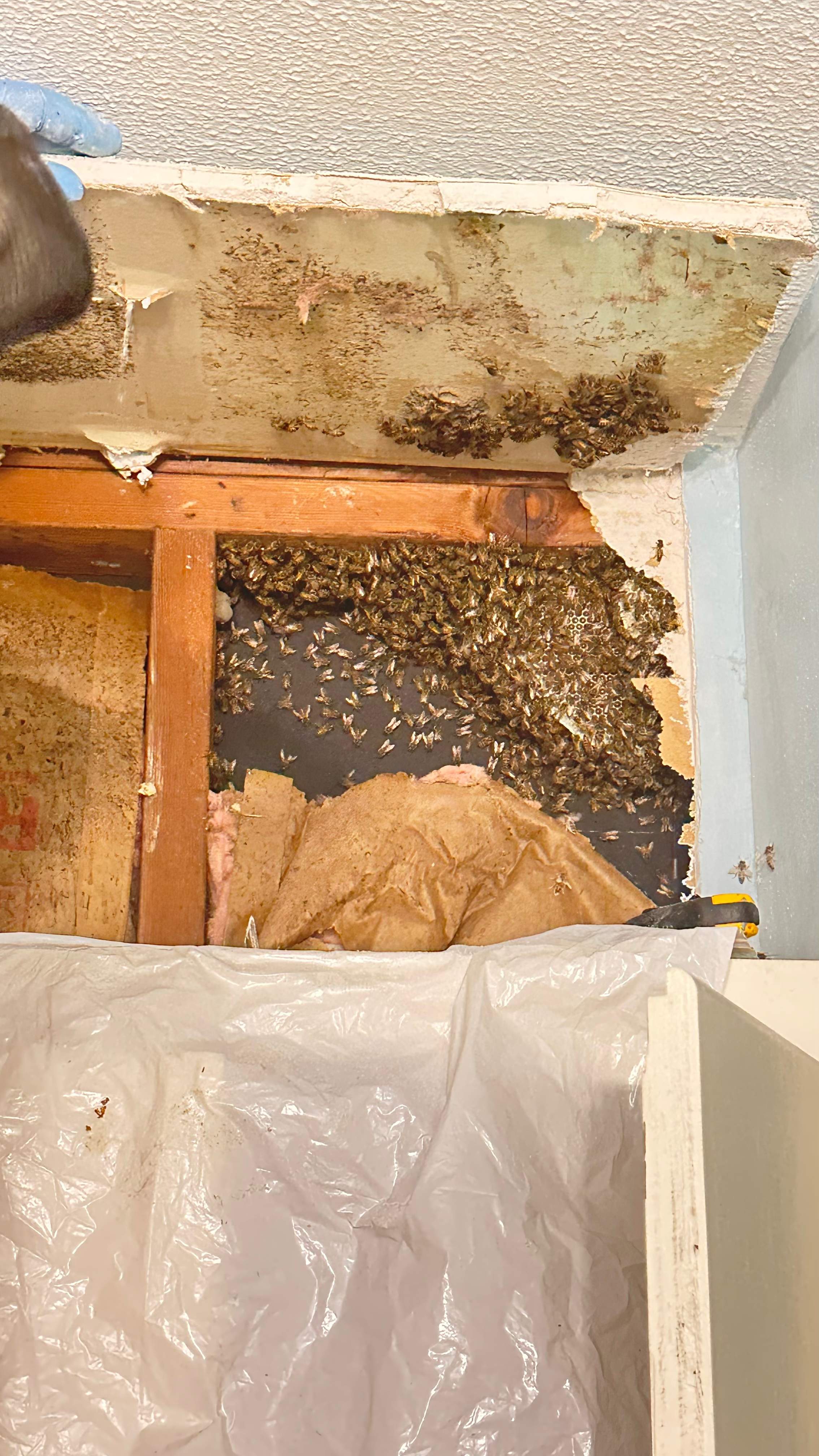 Laundry Room by Rockwall Honey Bee Company