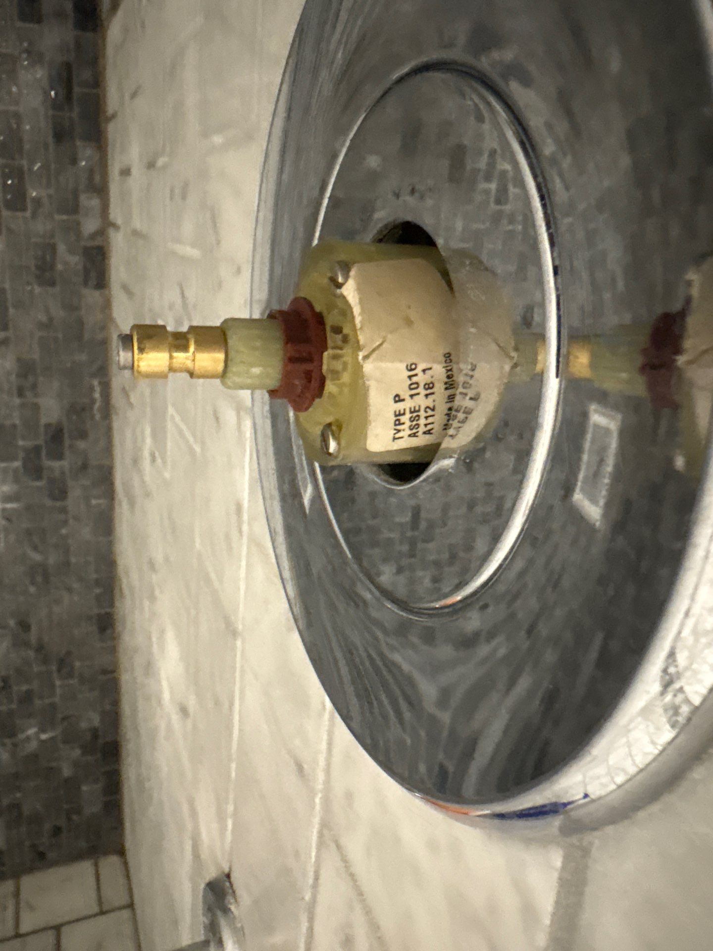Shower Valve Replacement and Plumbing Hardware Update in Tampa by All Hours Plumber