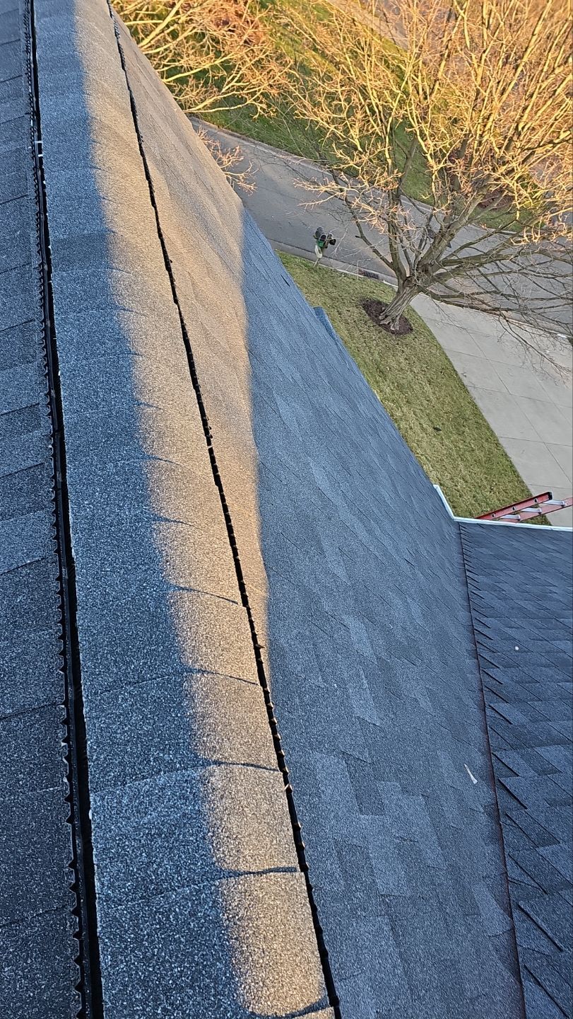 Atlas Pinnacle Pristine, Color: Black Shadow, Drip Edge, Color: Black by Eagle Eye Roofing