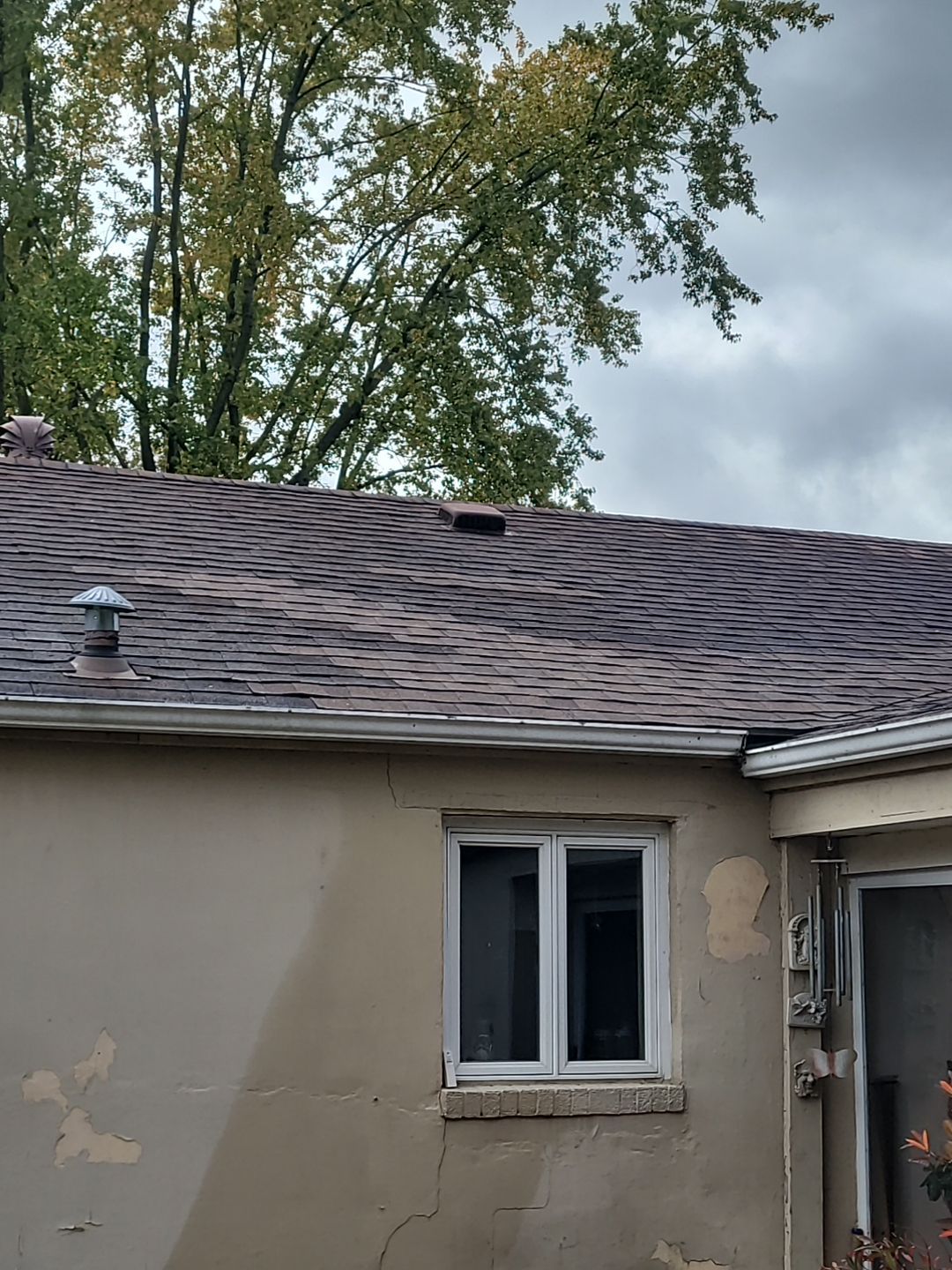 Gary Moles by Silver Leaf Contracting 