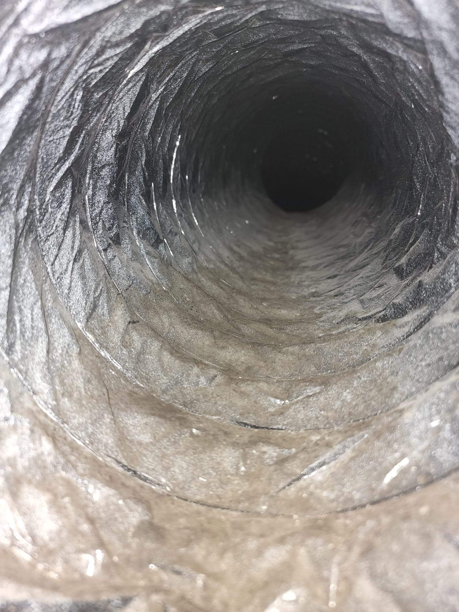Holmes Beach AC Mold Deep Cleaning by Ampm Restoration Services