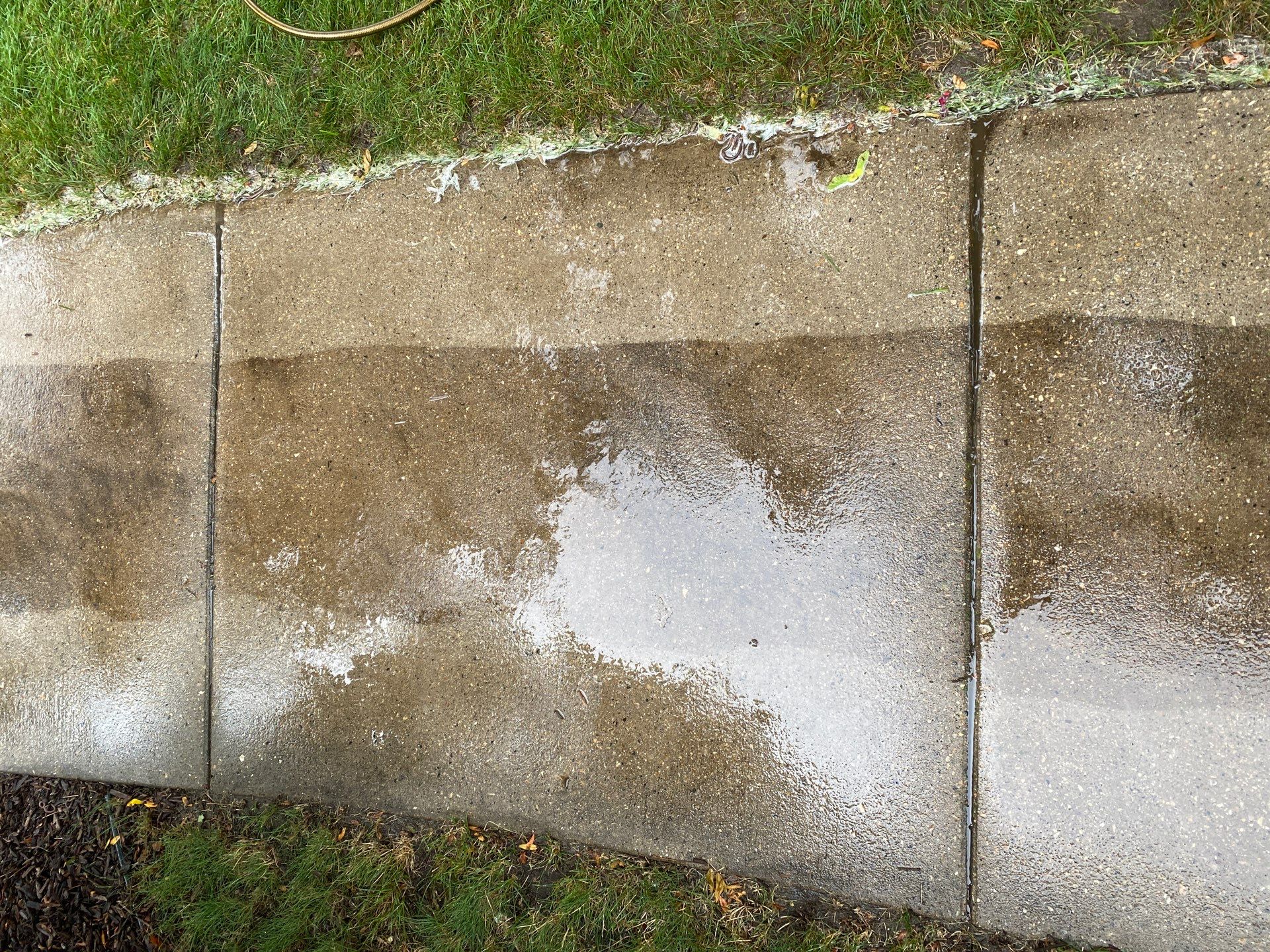House wash and concrete cleaning by Shulla Exterior Cleaning