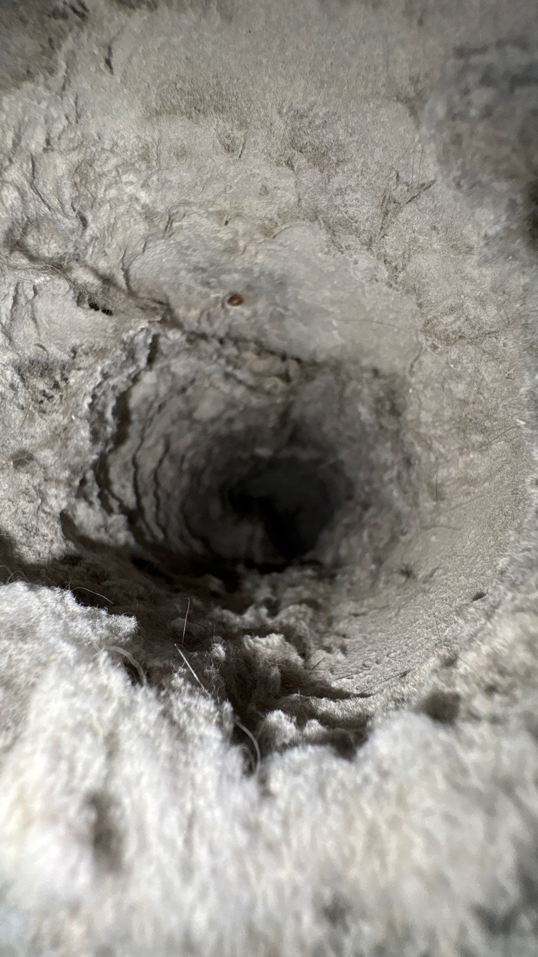 Dryer Vent Cleaning in Pittsburgh, PA by Superior Air Duct Cleaning