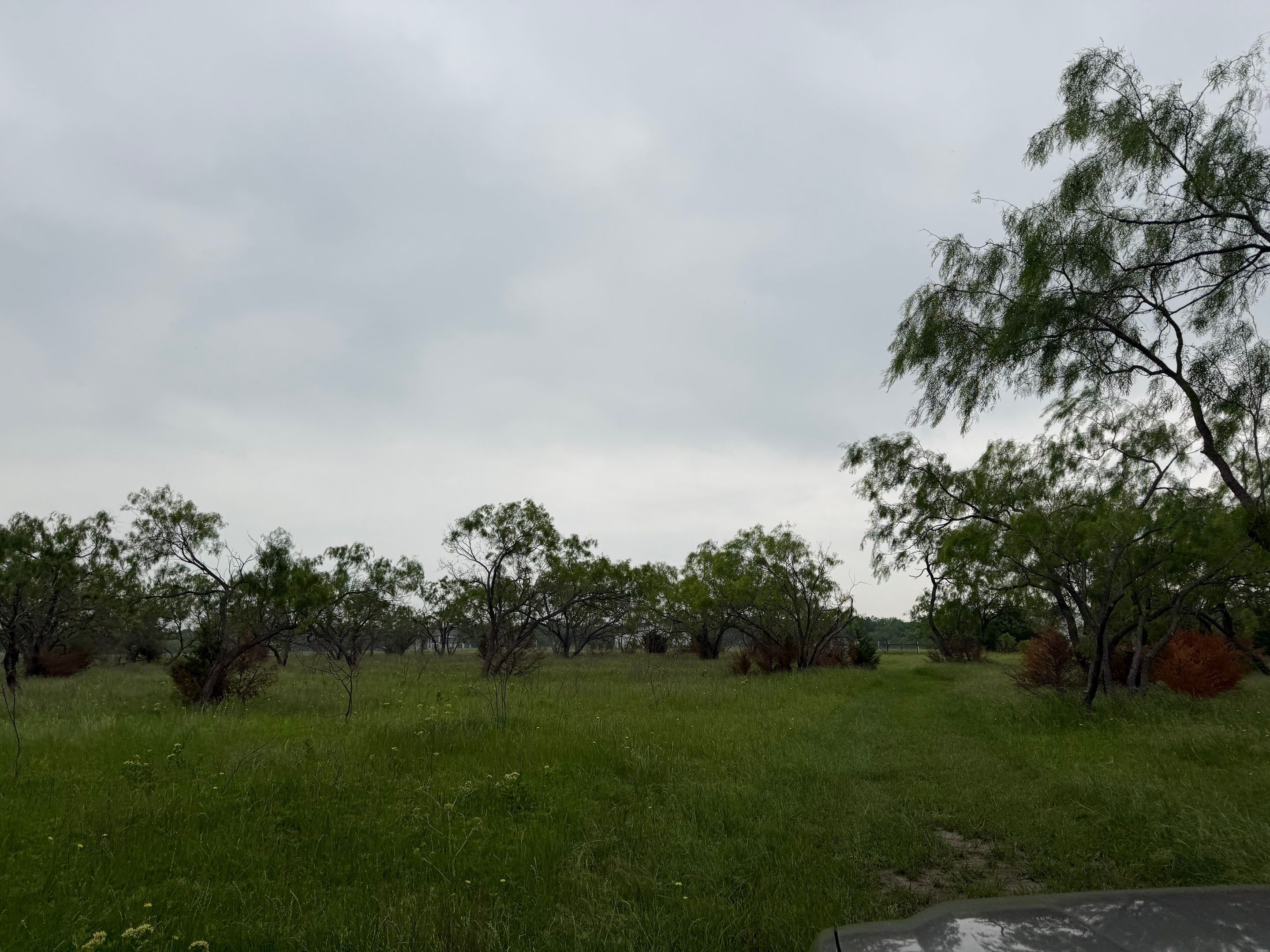 Exemption in Royse City, TX by Rockwall Honey Bee Company