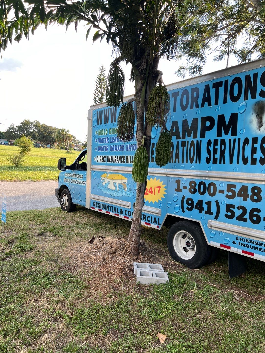 Home Mold Removal by Ampm Restoration Services