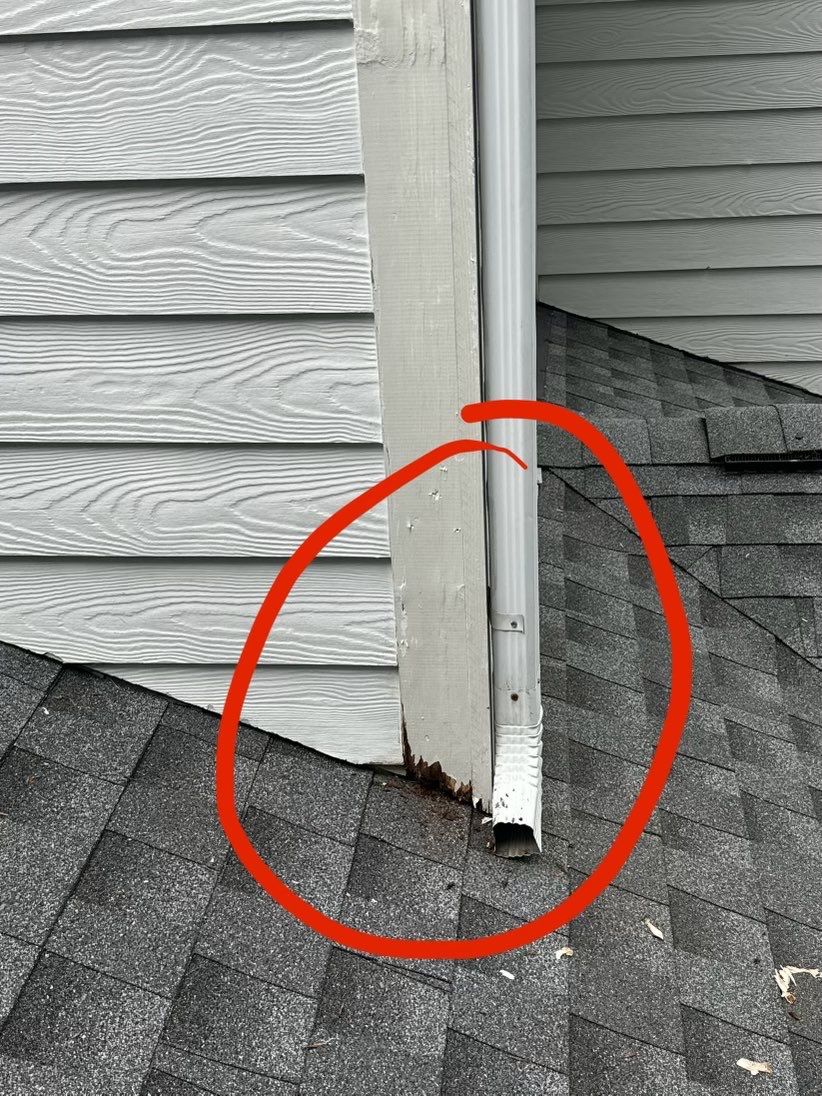 Exterior Transformation by GonzalezPainters & Contractors Inc 