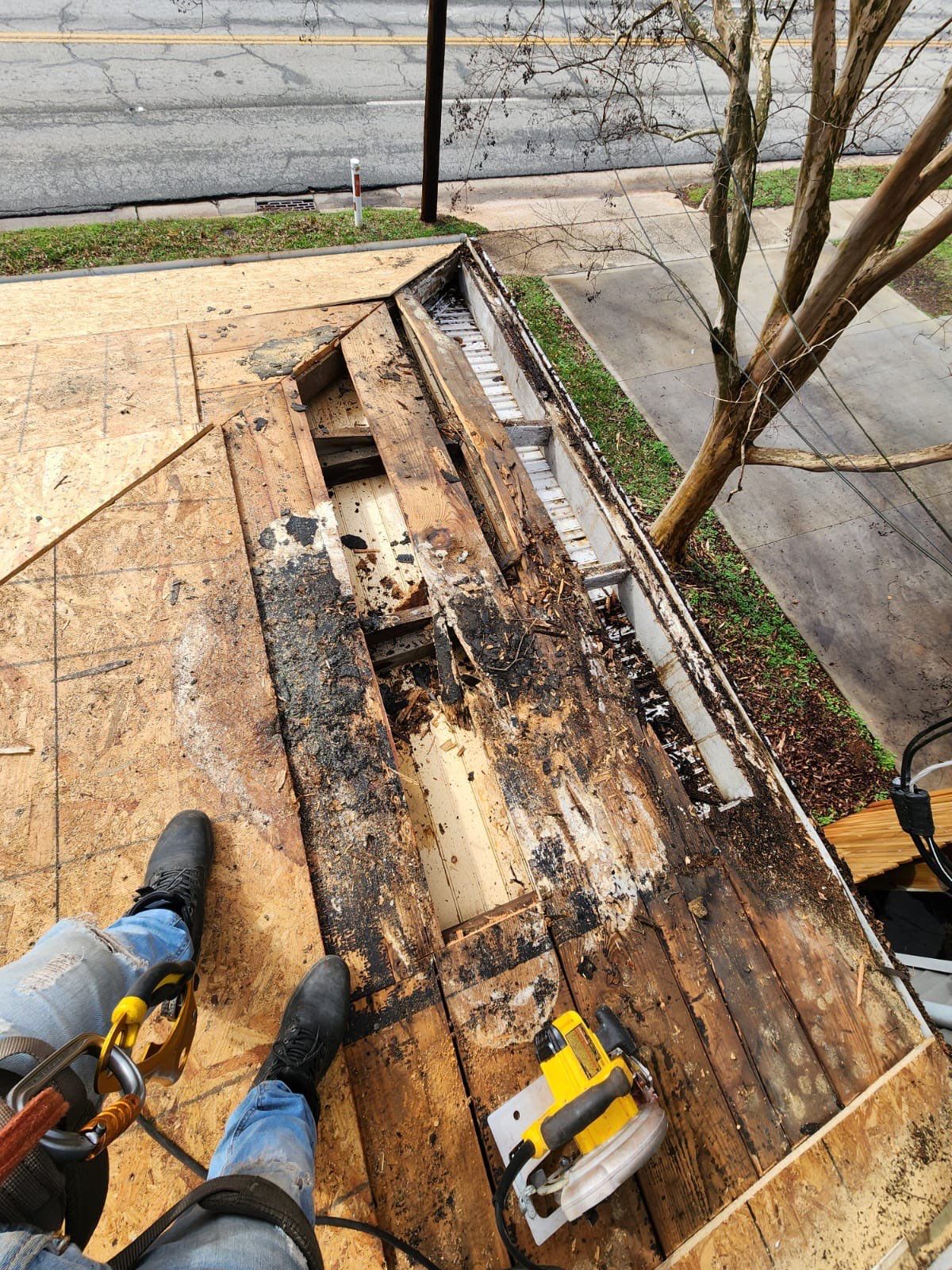 Landmark Shingle Roof Replacement and Decking Repair in Greenville by Roofers LLC
