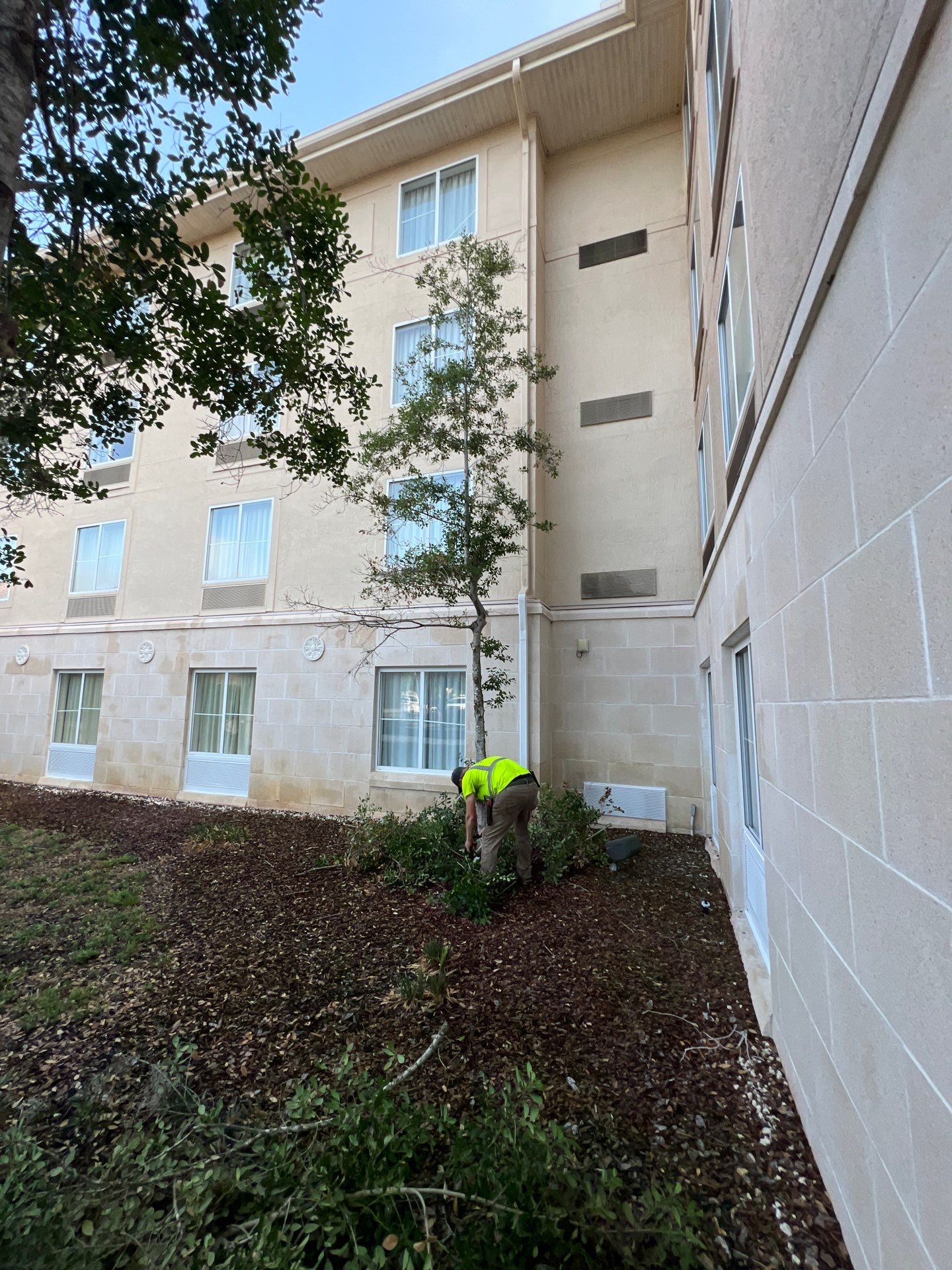 Homewood Suites | Tree Service by ProGreen Services