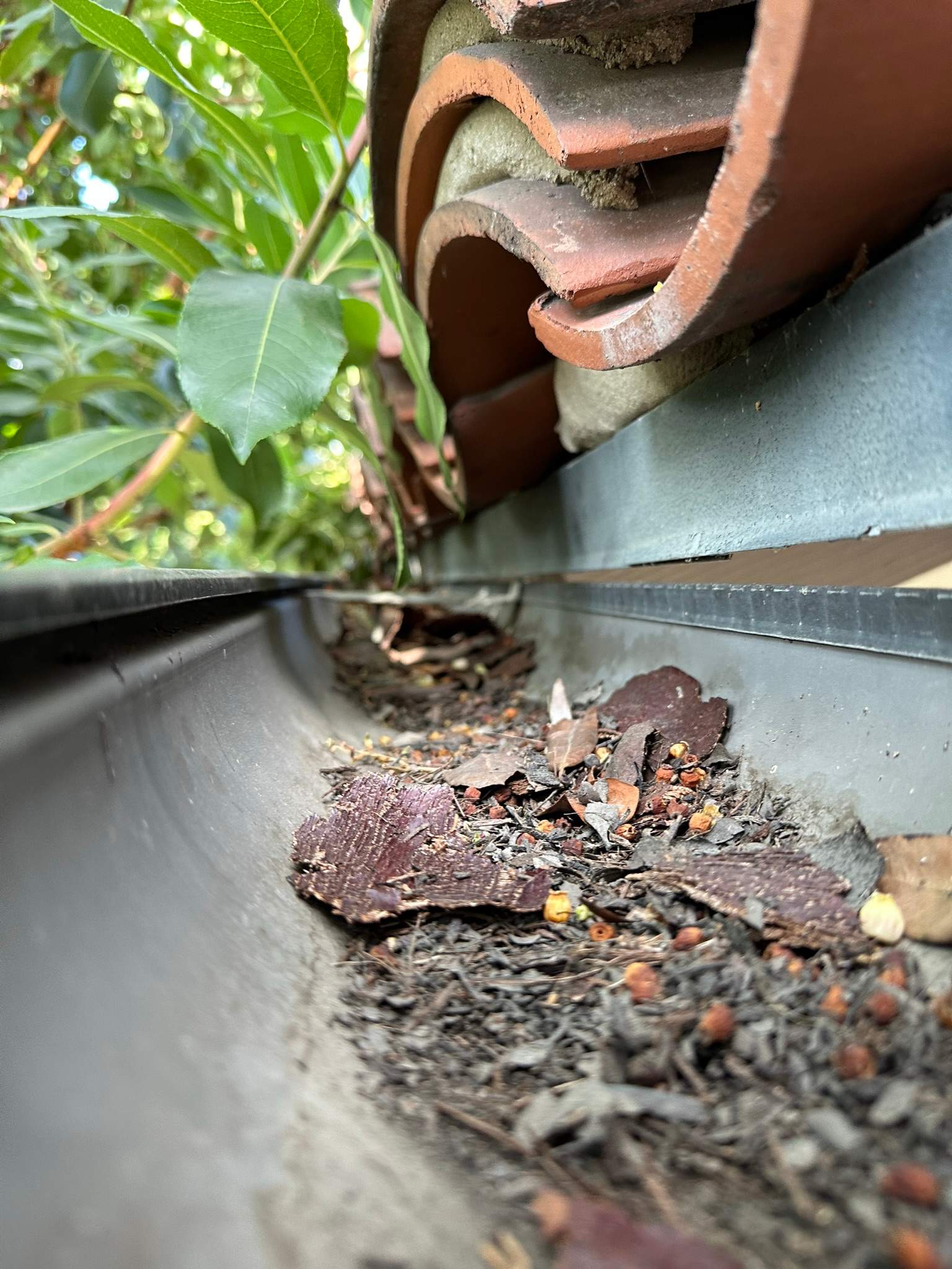 Orange County Gutter Cleaning by Property Cleaning Experts