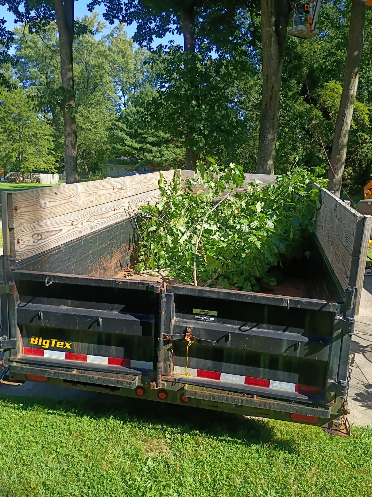 Tree Trimming & Tree Removal in Akron Ohio by Mike Jones & Sons Tree Service LLC 