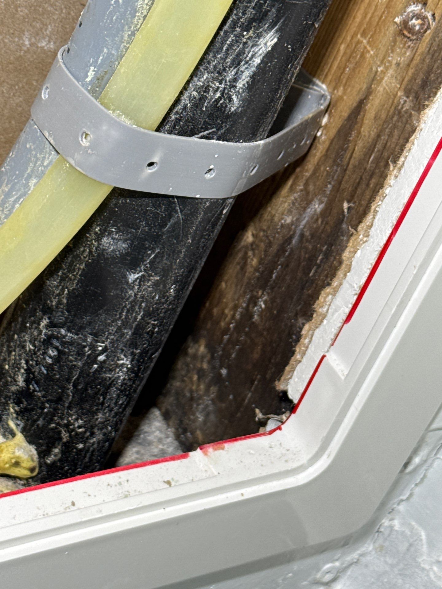 Mold Damage Restoration by Accountable Home Services