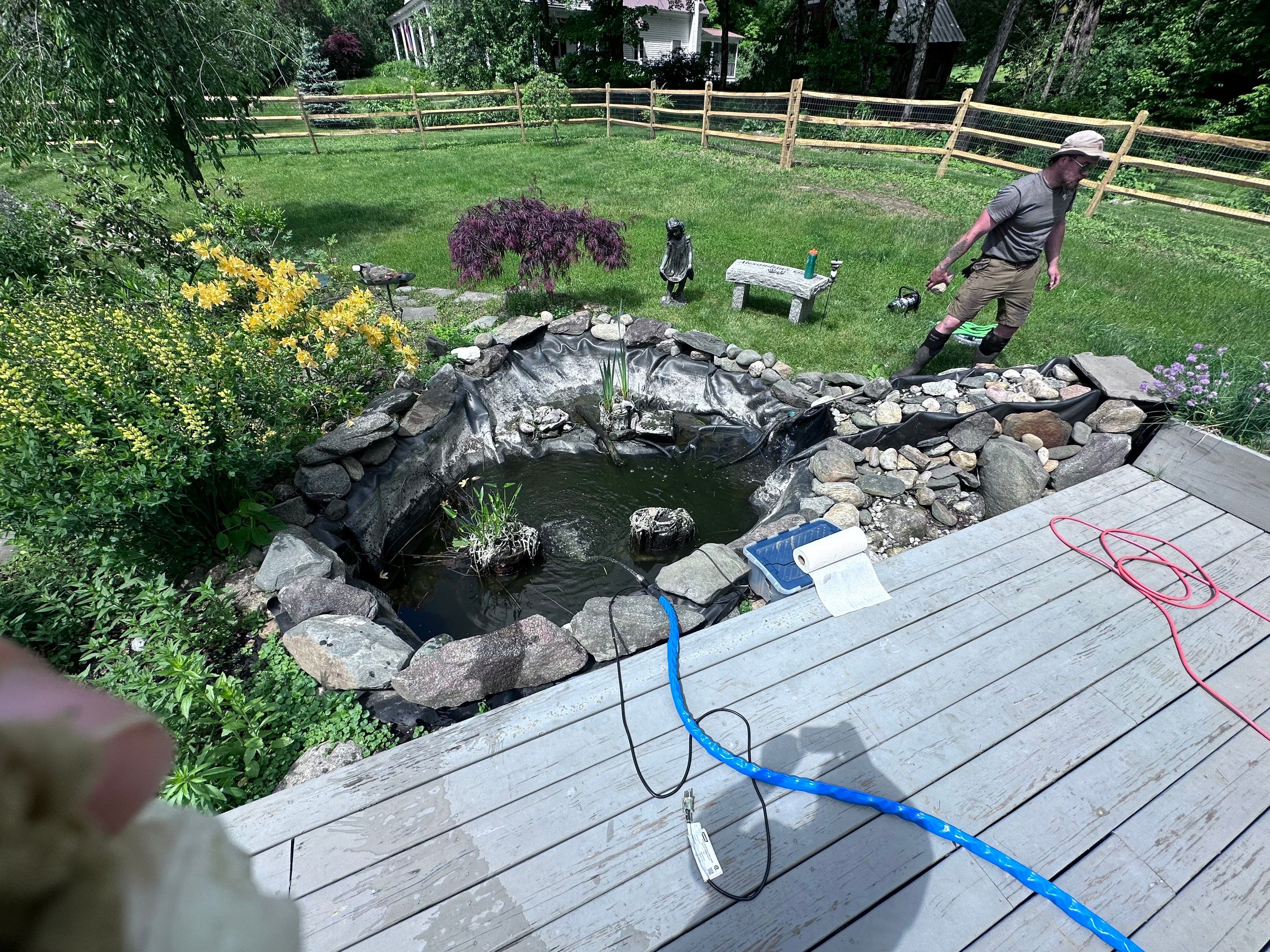 Small Pond Rescue in Williamsville, VT by Wicked Water Gardens