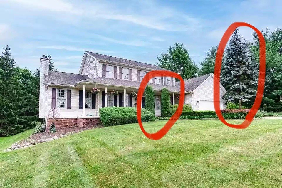 Tree Removal using Tree Removal by Mike Jones & Sons Tree Service LLC 