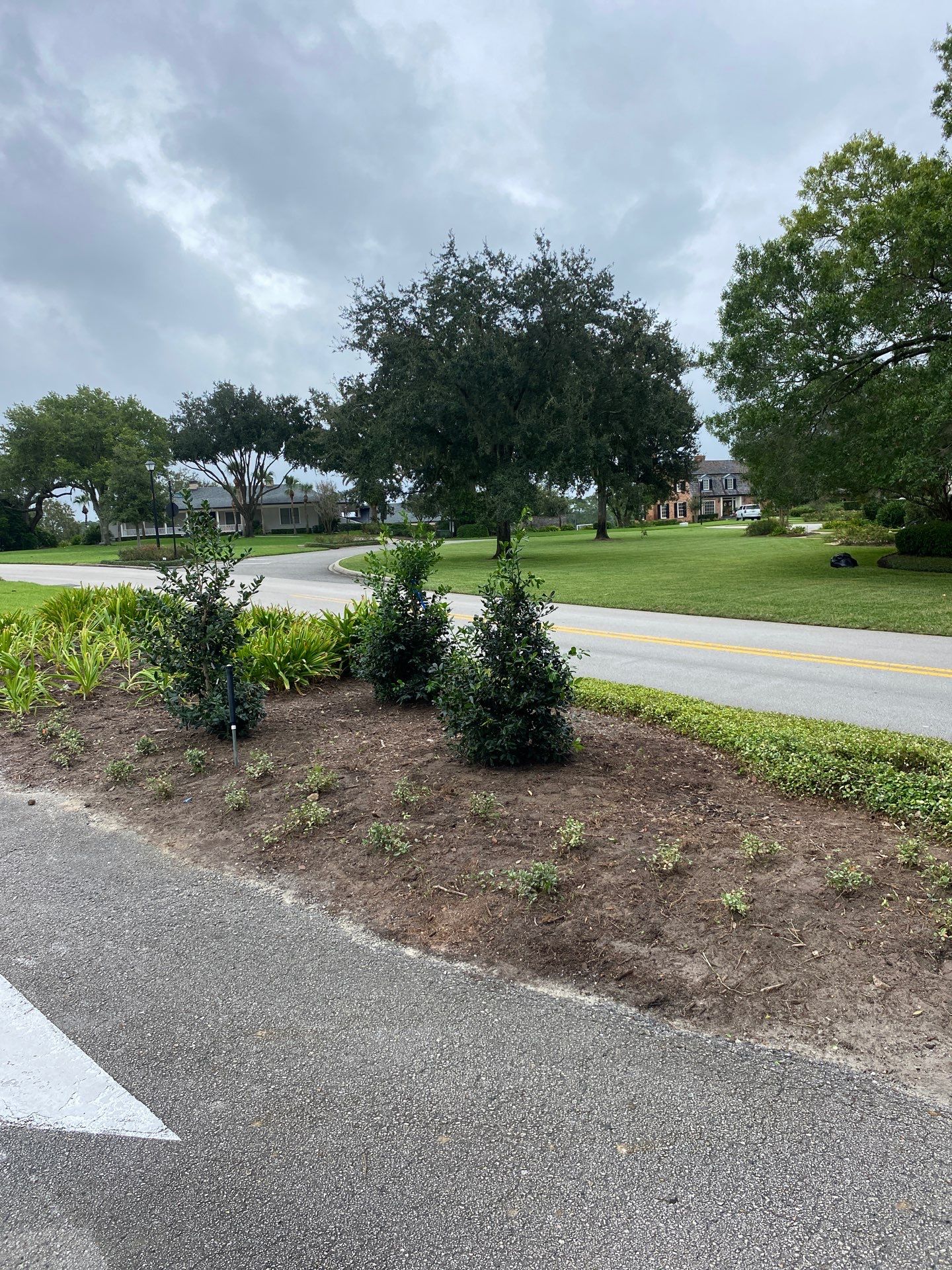 Deerwood Community | Island Landscape Replacement by ProGreen Services