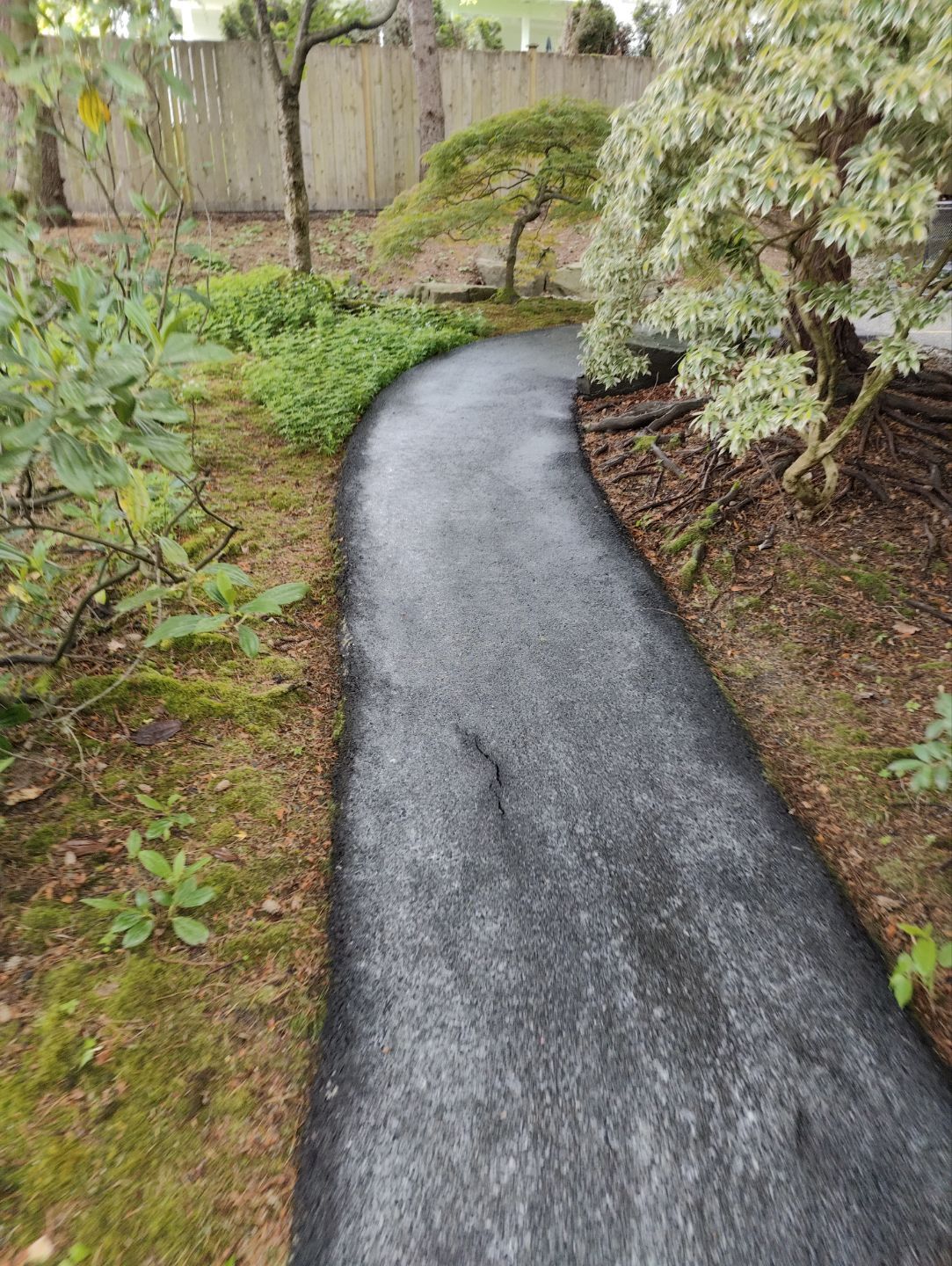 Premium Pressure Washing in Bellevue by WindowWorks