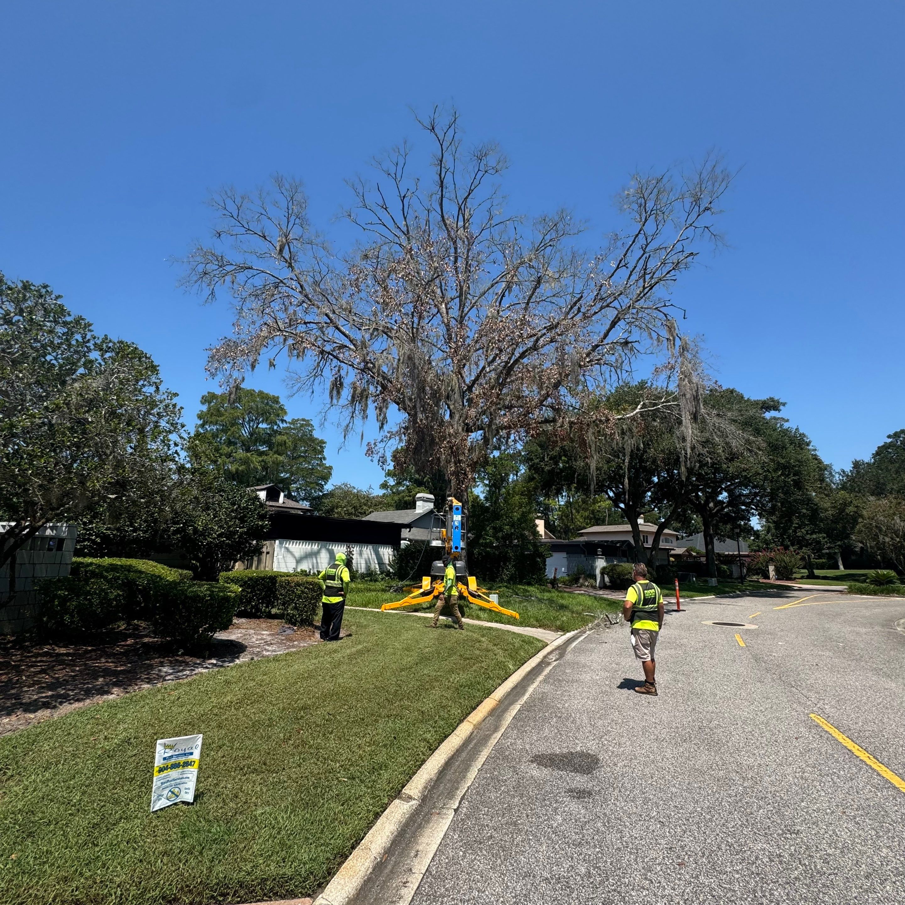 Deerwood Resident | Tree Removal by ProGreen Services