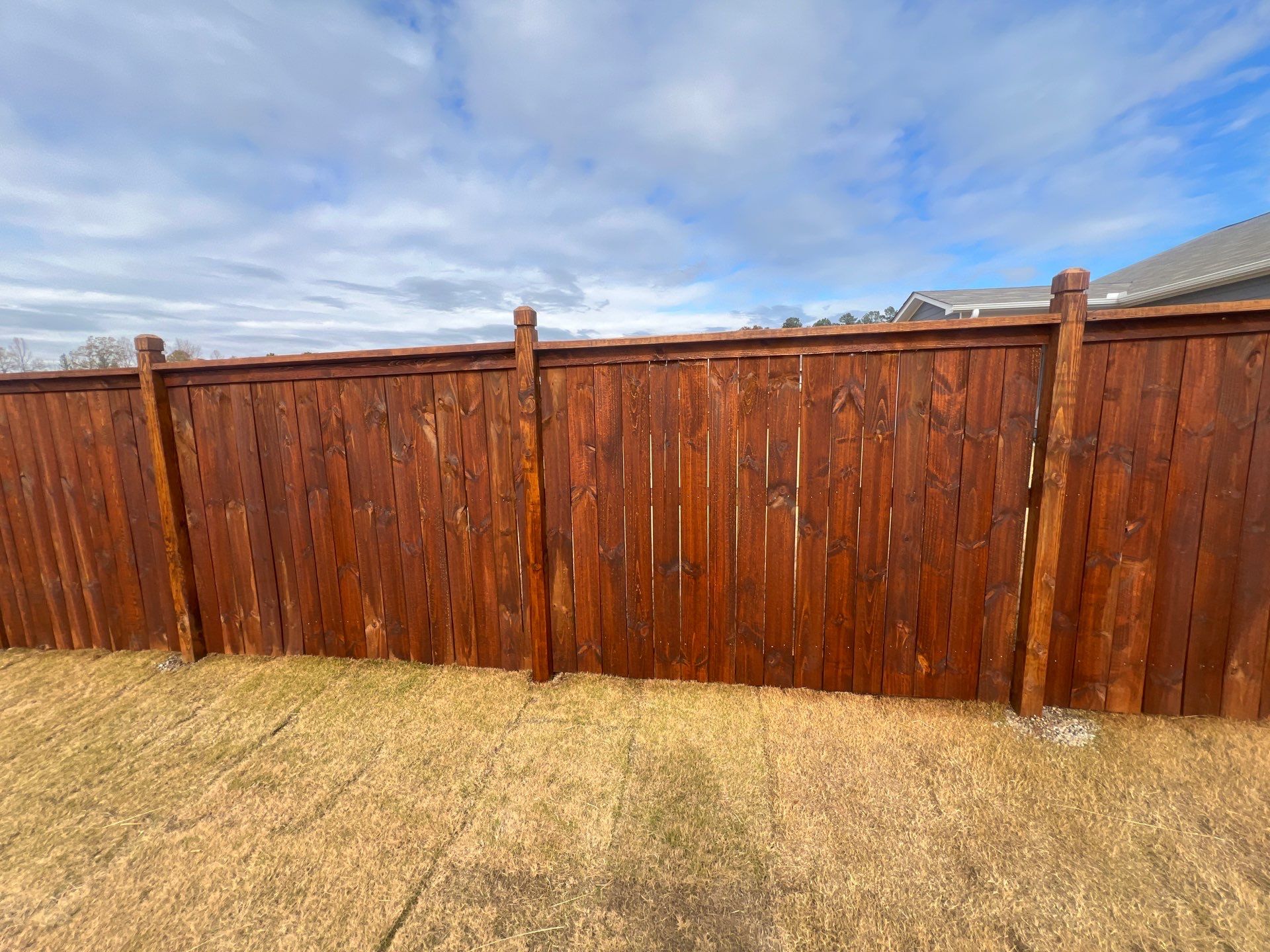 Fence Staining using Chestnut by SSE by Titans of Timber Fence & Stain