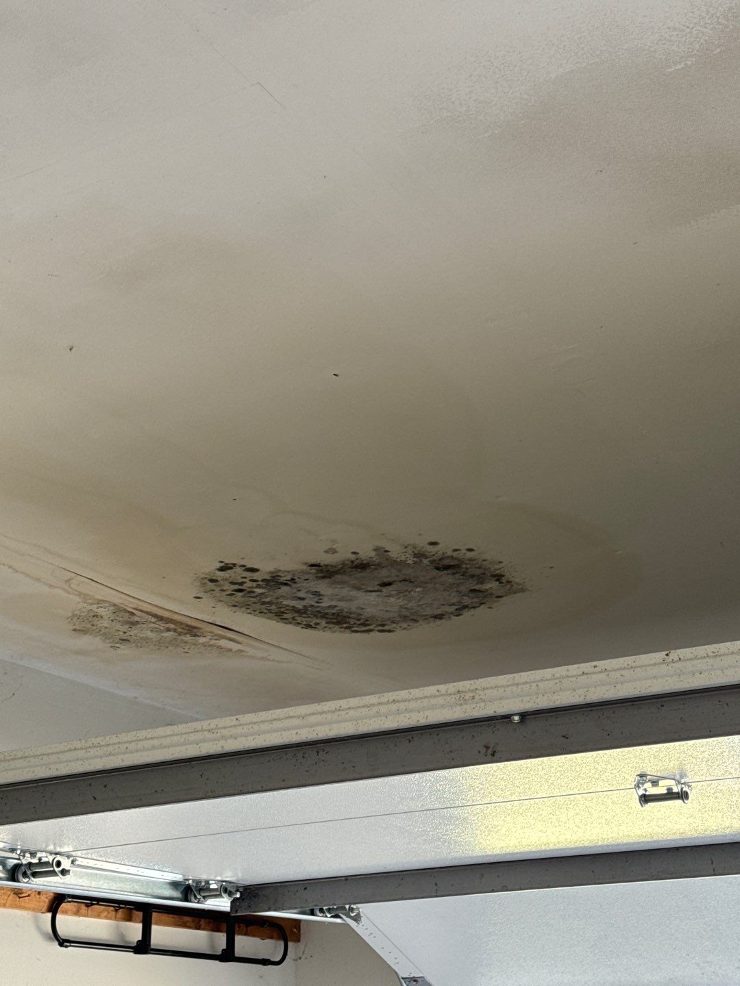 Garage Ceiling Water Damage/Mold Remediation by Chicagoland Water Medics