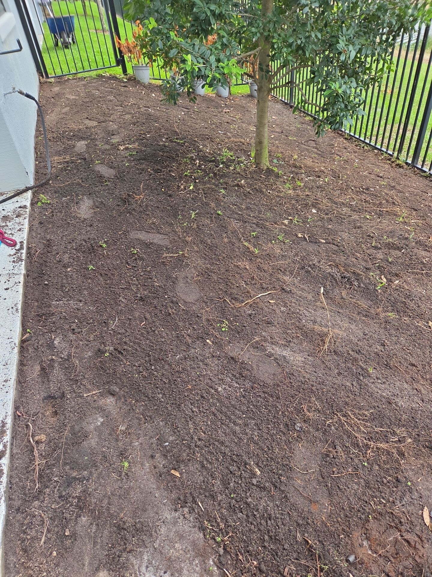 🌱 Magnolia Ridge Lawn Refresh by Alpha Zeta Enterprises Inc