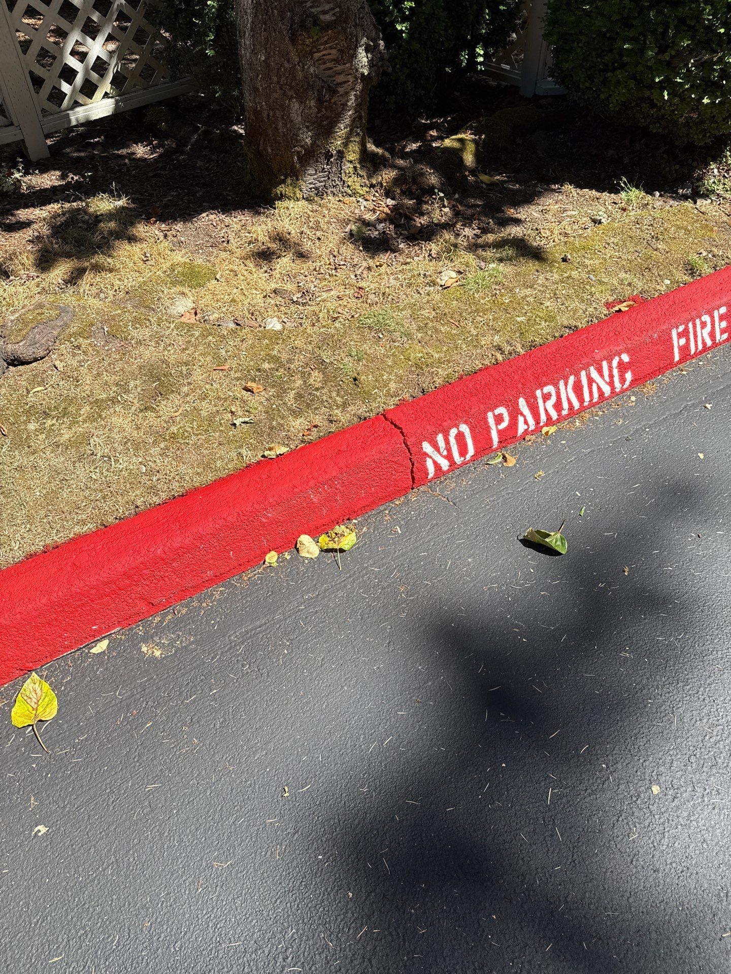 Curb Repaint | Seattle  by Jireh Asphalt & Concrete Inc 