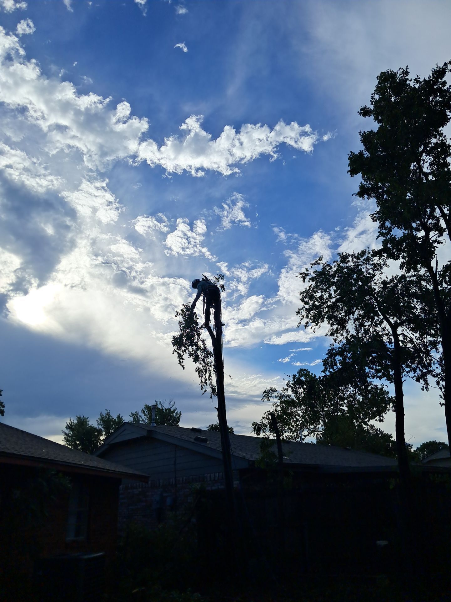 Emergency Tree Removal and Sod Installation Restoration in Lawton by Clays Services Inc