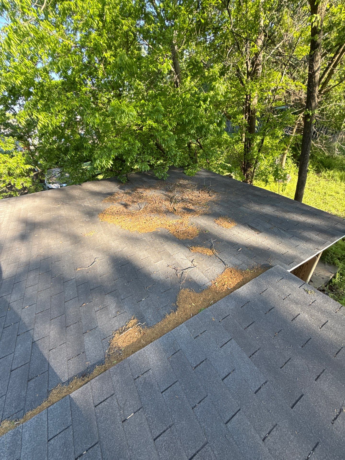 From 3tab to Class 3 impact resistant shingles!! by In & Out Construction & Remodeling, LLC