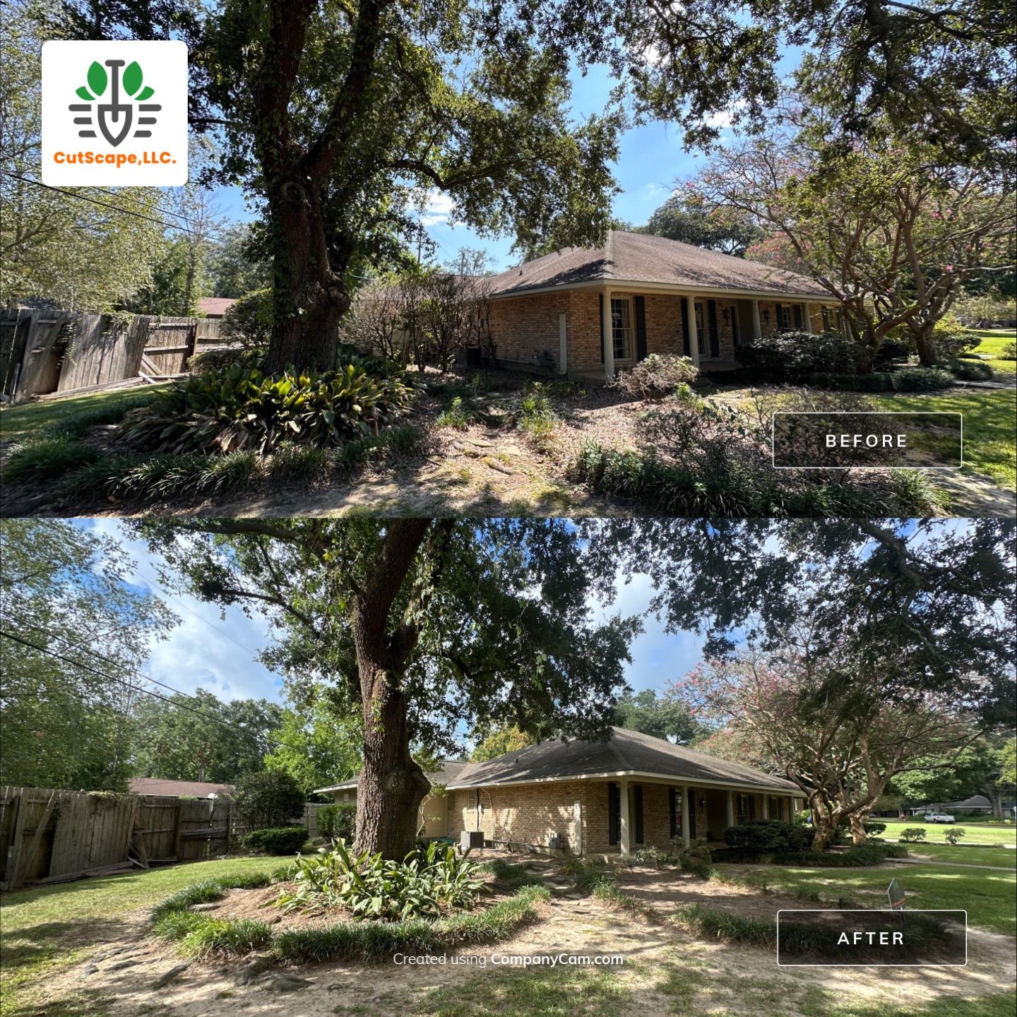 LANDSCAPE SERVICES: HERBICIDE / CLEAN OUT / TRIM / BRUSH DEBRIS REMOVAL / PROPERTY CLEAN UP by CutScape, LLC.