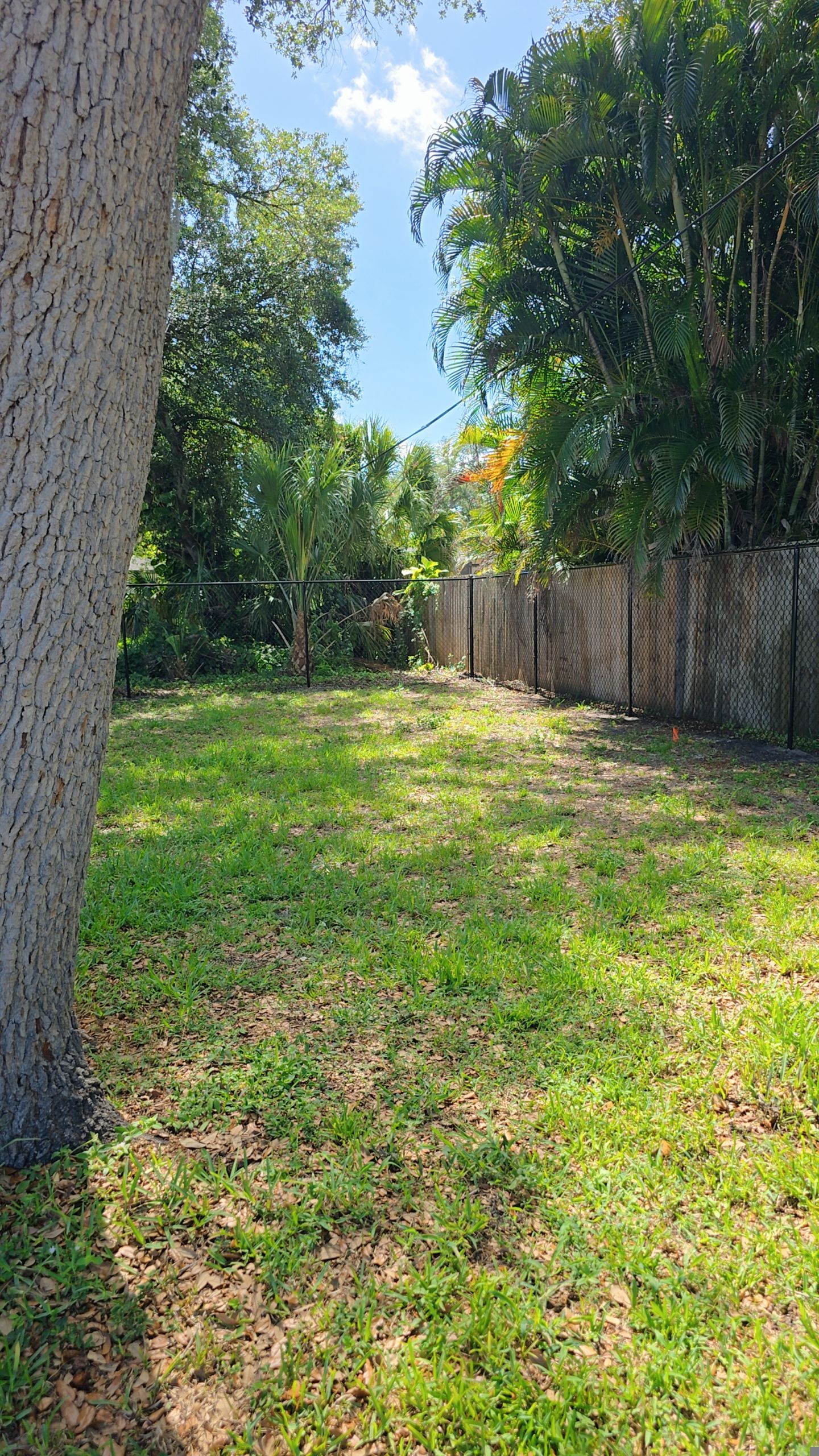 Black Chain Link in Port Charlotte by True Fence LLC