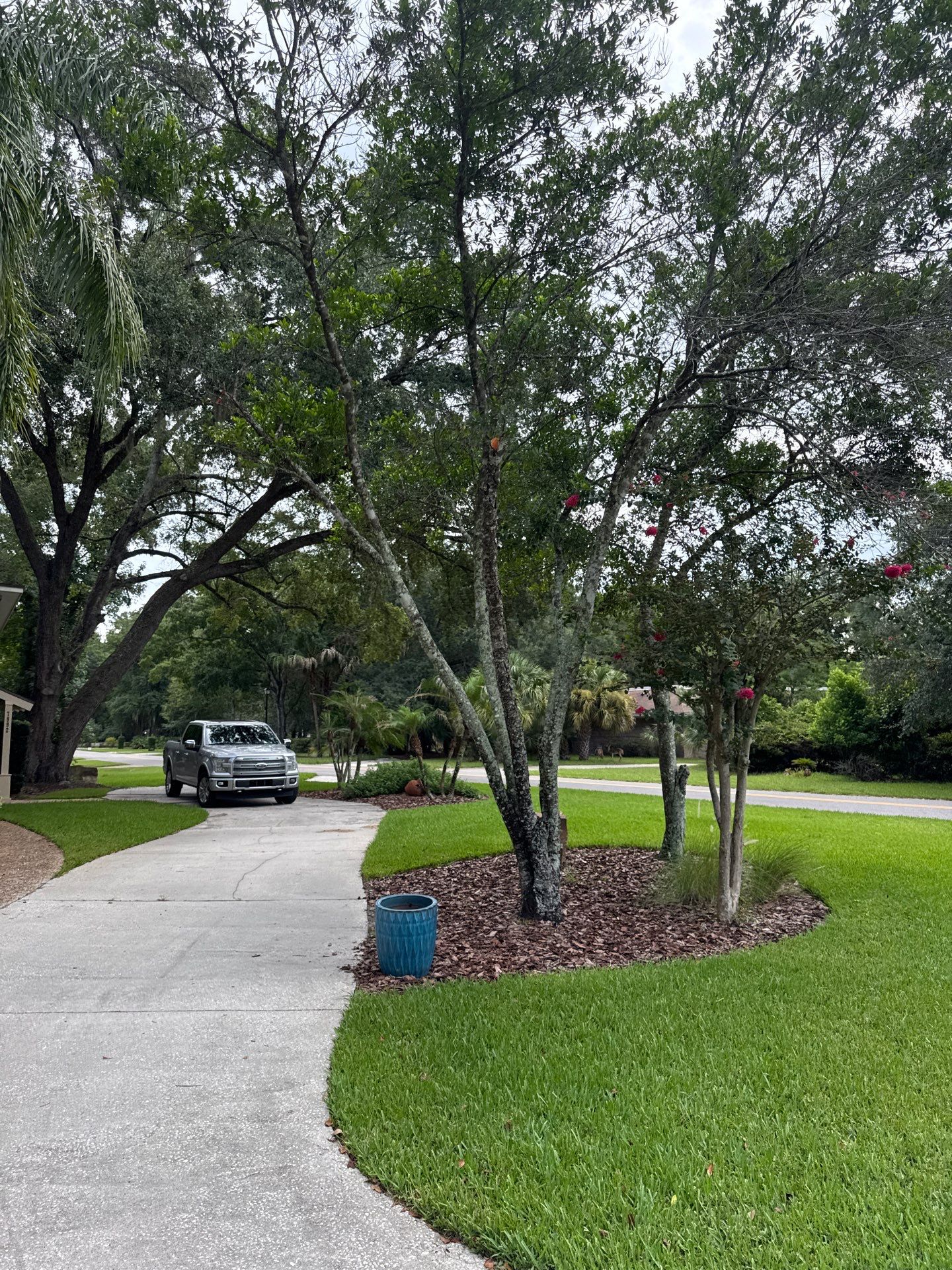 Deerwood Resident | Tree Removal by ProGreen Services