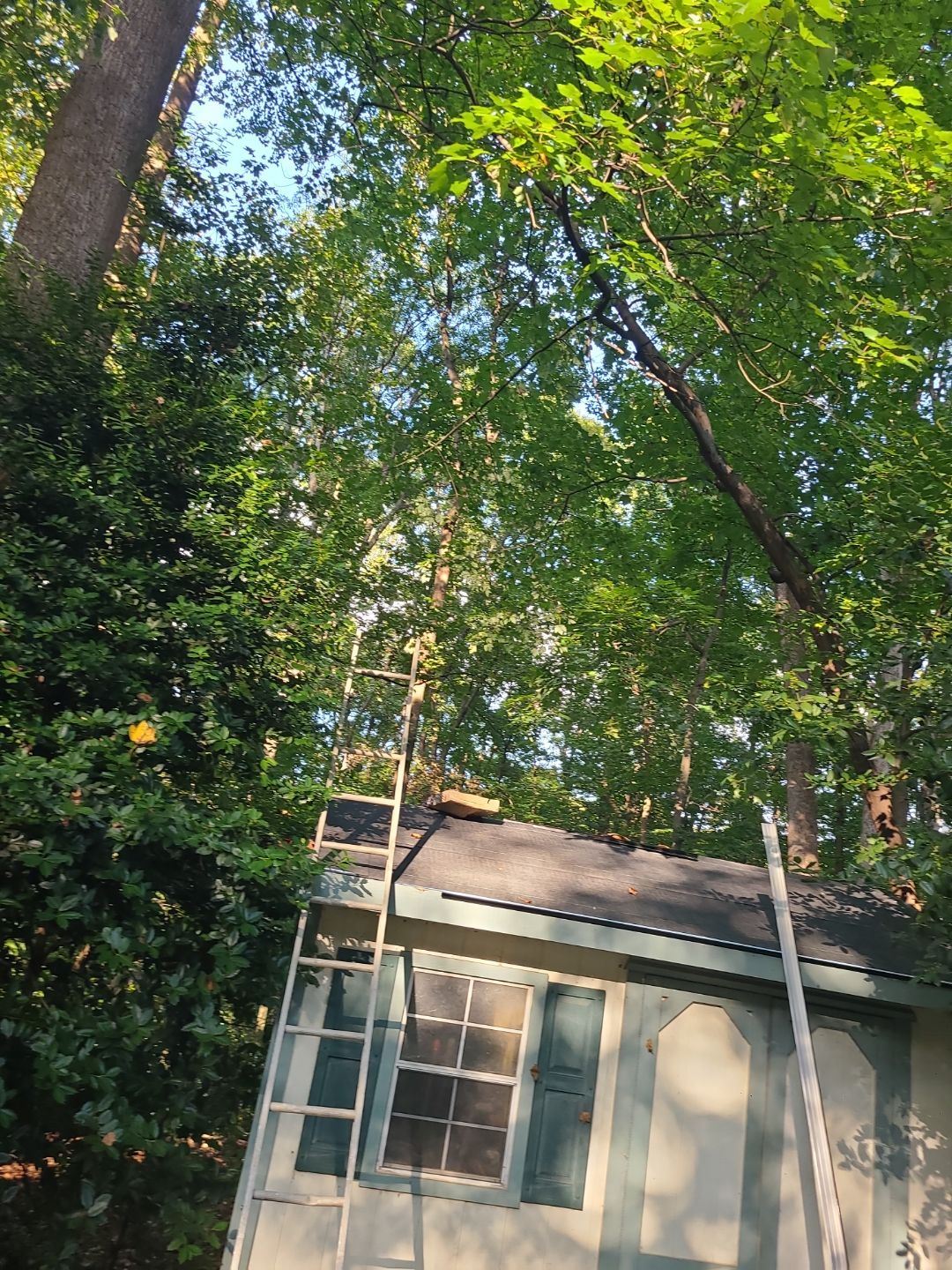 Fairfax Station: Residential Roof Replacement with CertainTeed Landmark Pro Designer Shingles in Max Def Heather Blend by RM Banning, Inc.