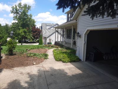 Tree Removal using Tree Removal