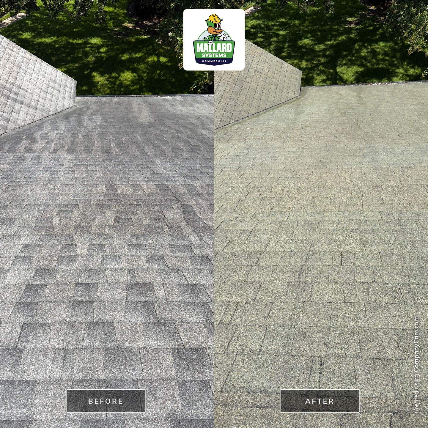 Residential Shingle Roof Cleaning in Orlando by Mallard Systems