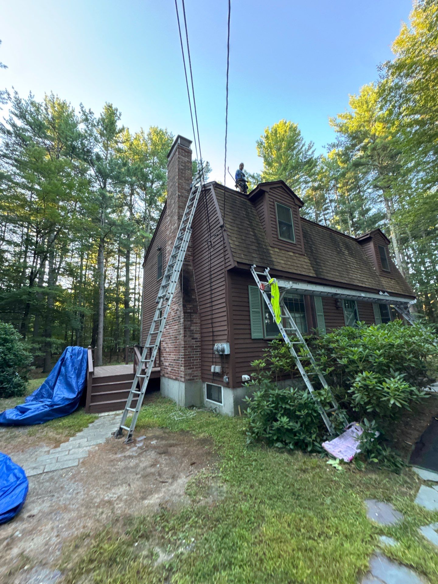 Roof Replacement – Rosalie Brown, MA by Mighty Dog Roofing of Greater Middlesex County